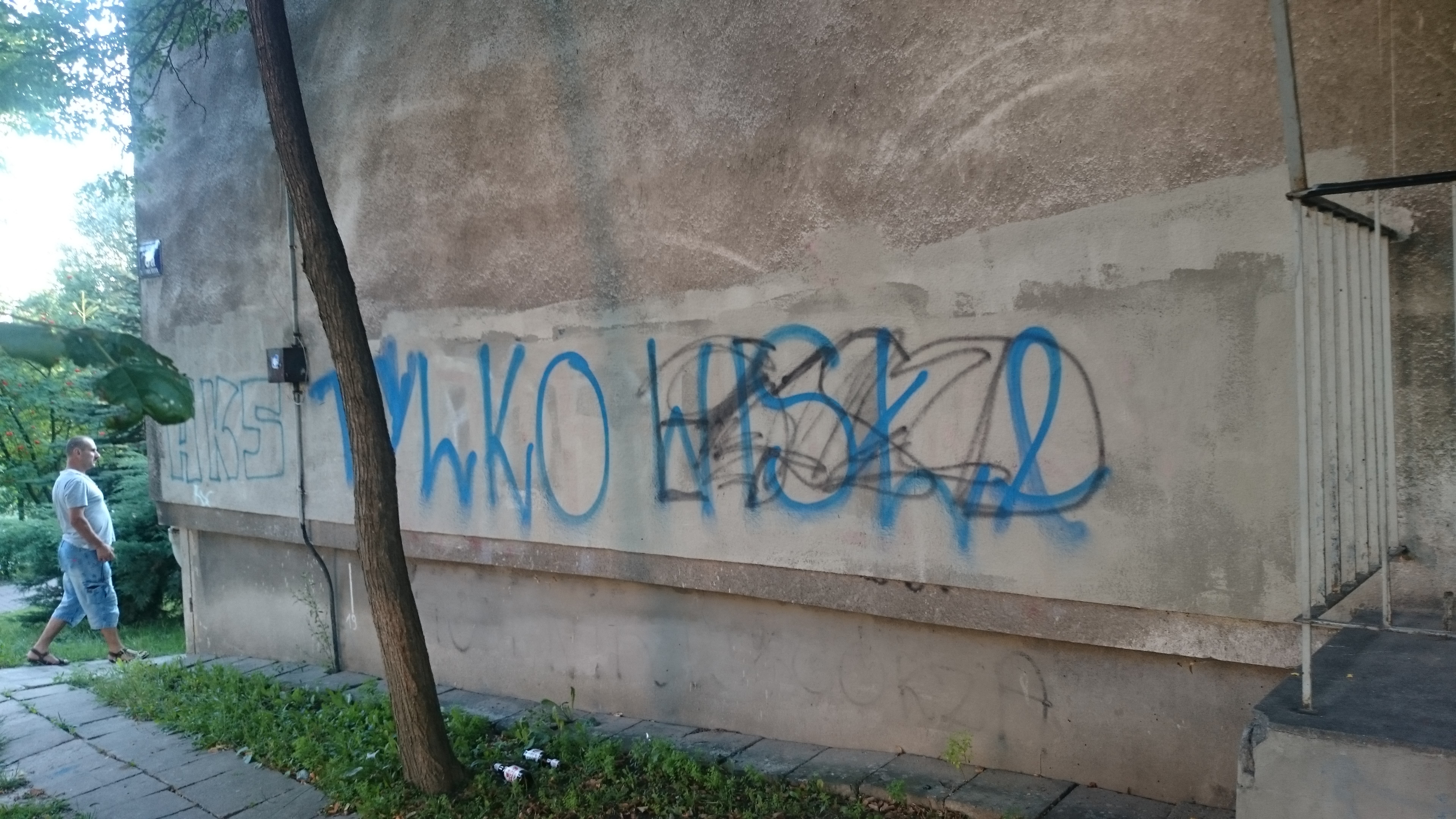 Zdjęcie przed zamalowaniem