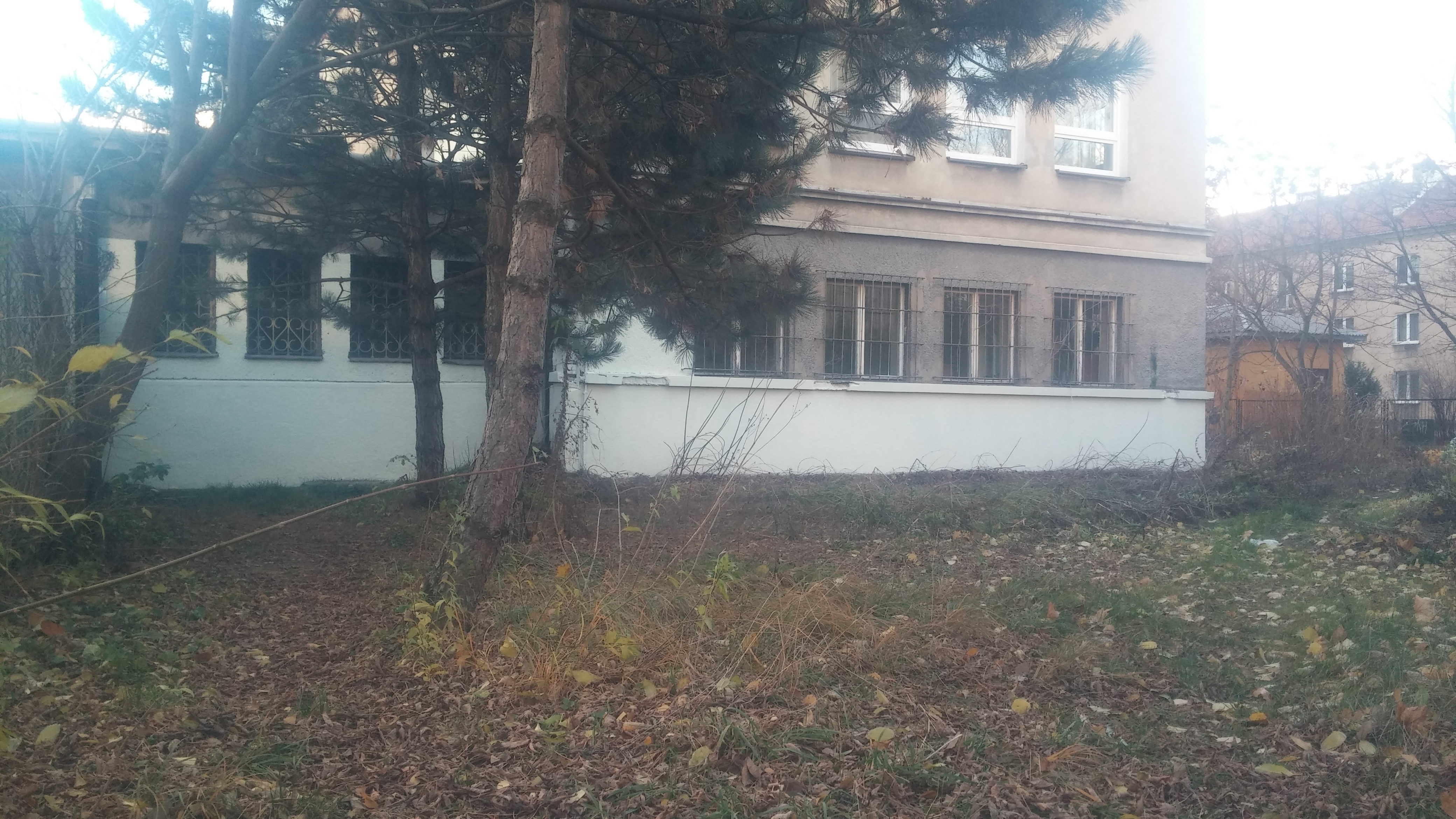 Zdjęcie po zamalowaniu
