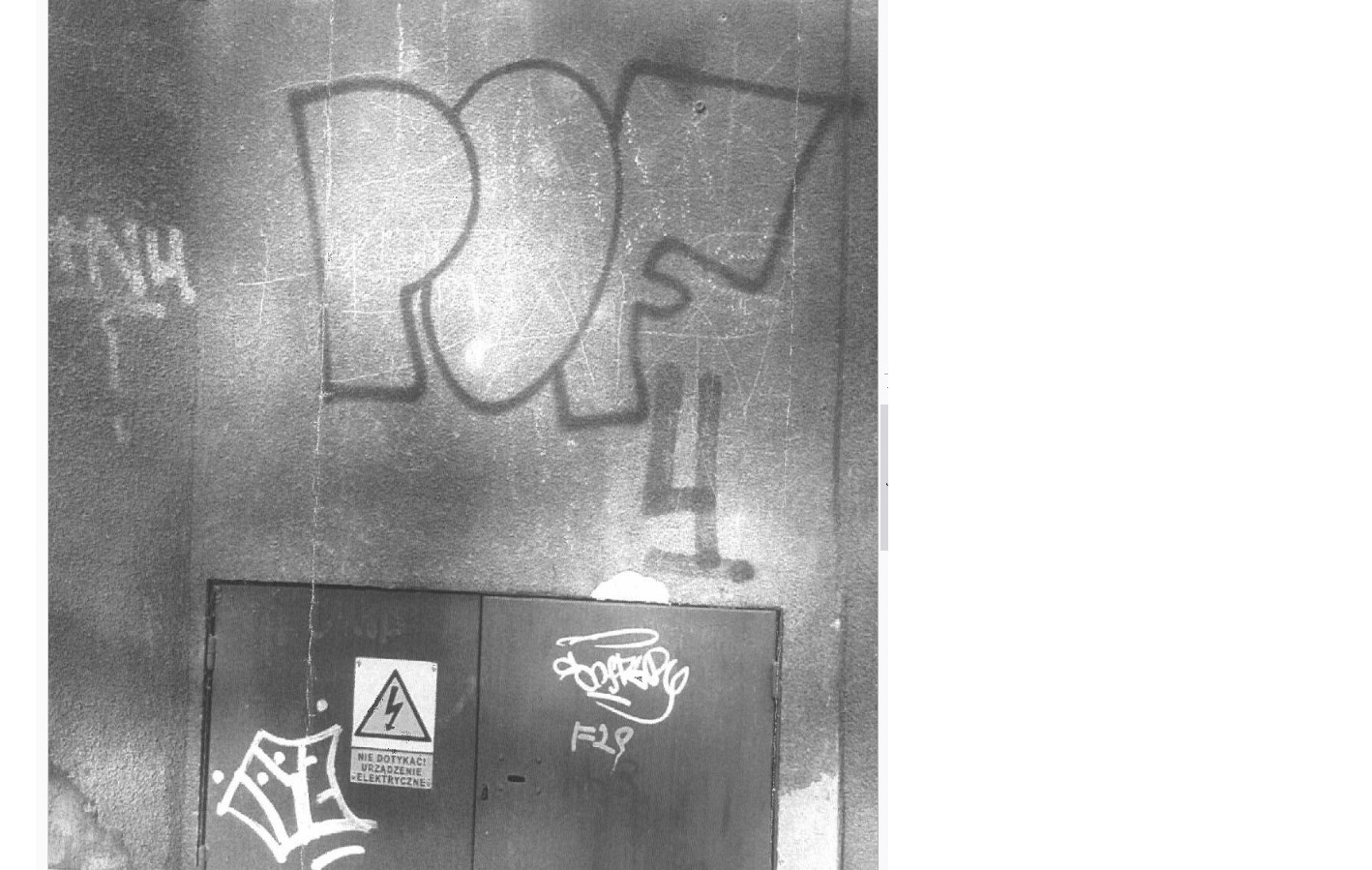 Zdjęcie przed zamalowaniem