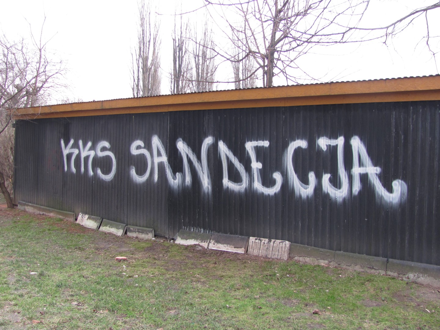 Zdjęcie przed zamalowaniem
