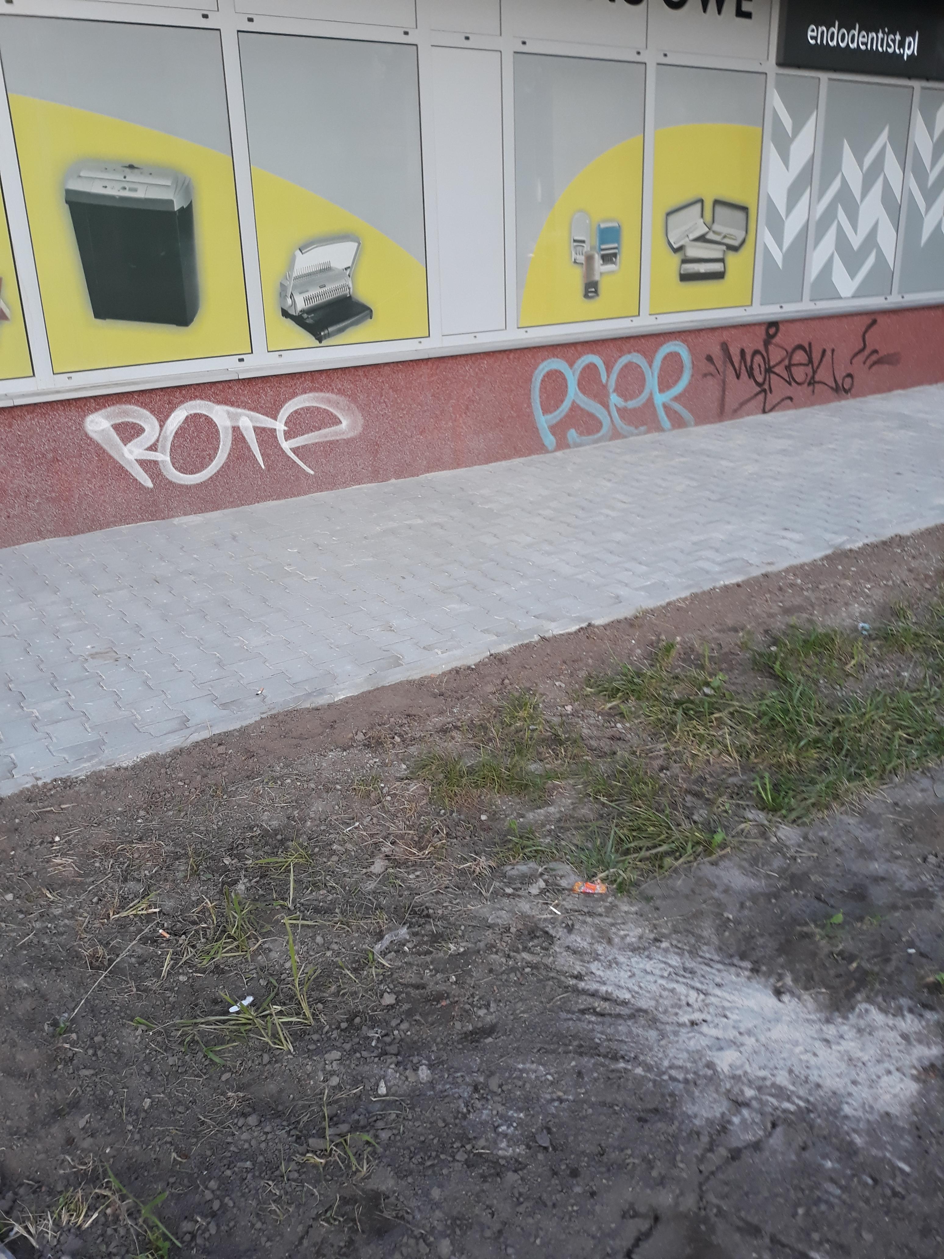 Zdjęcie przed zamalowaniem