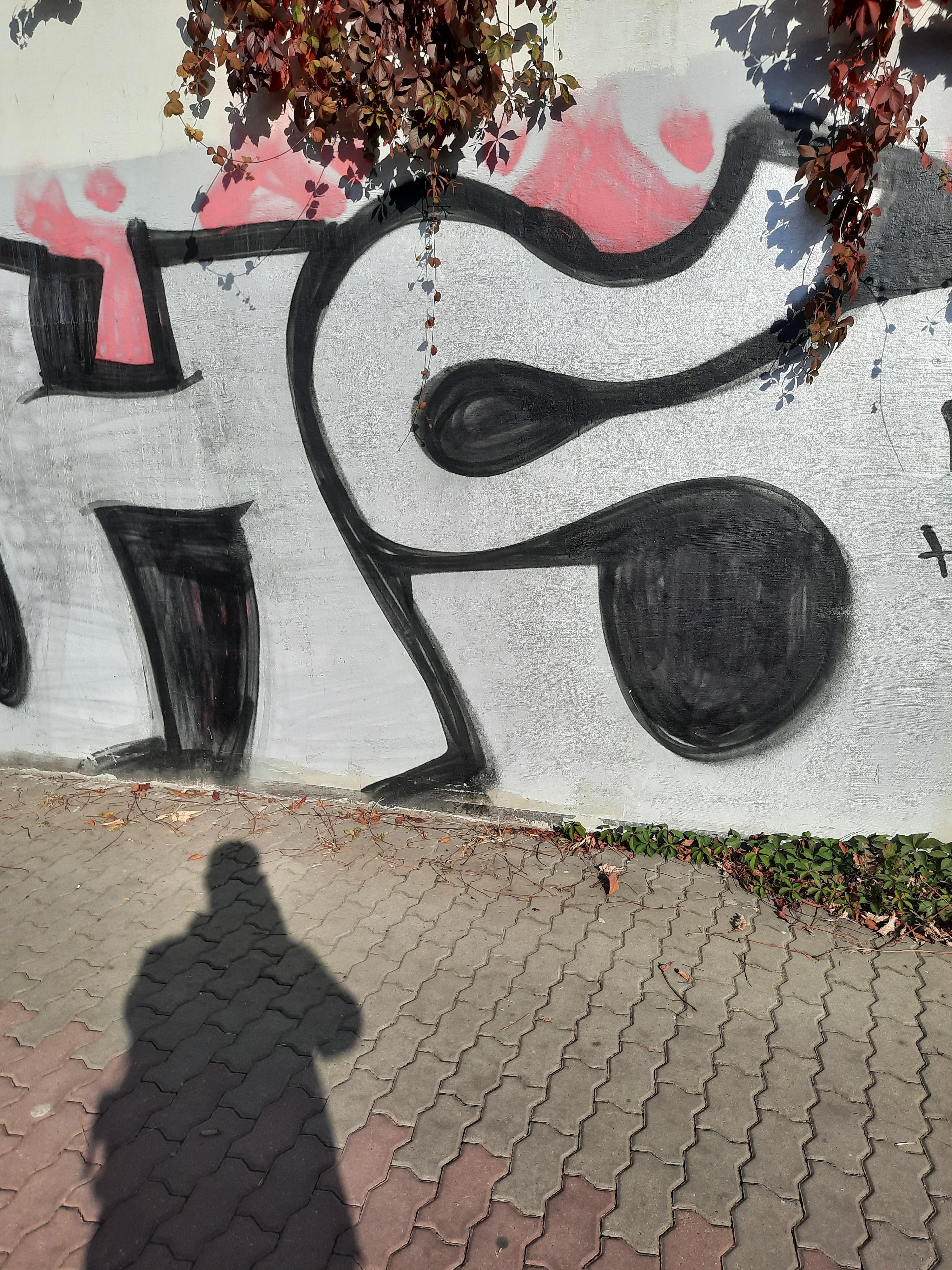 Zdjęcie przed zamalowaniem