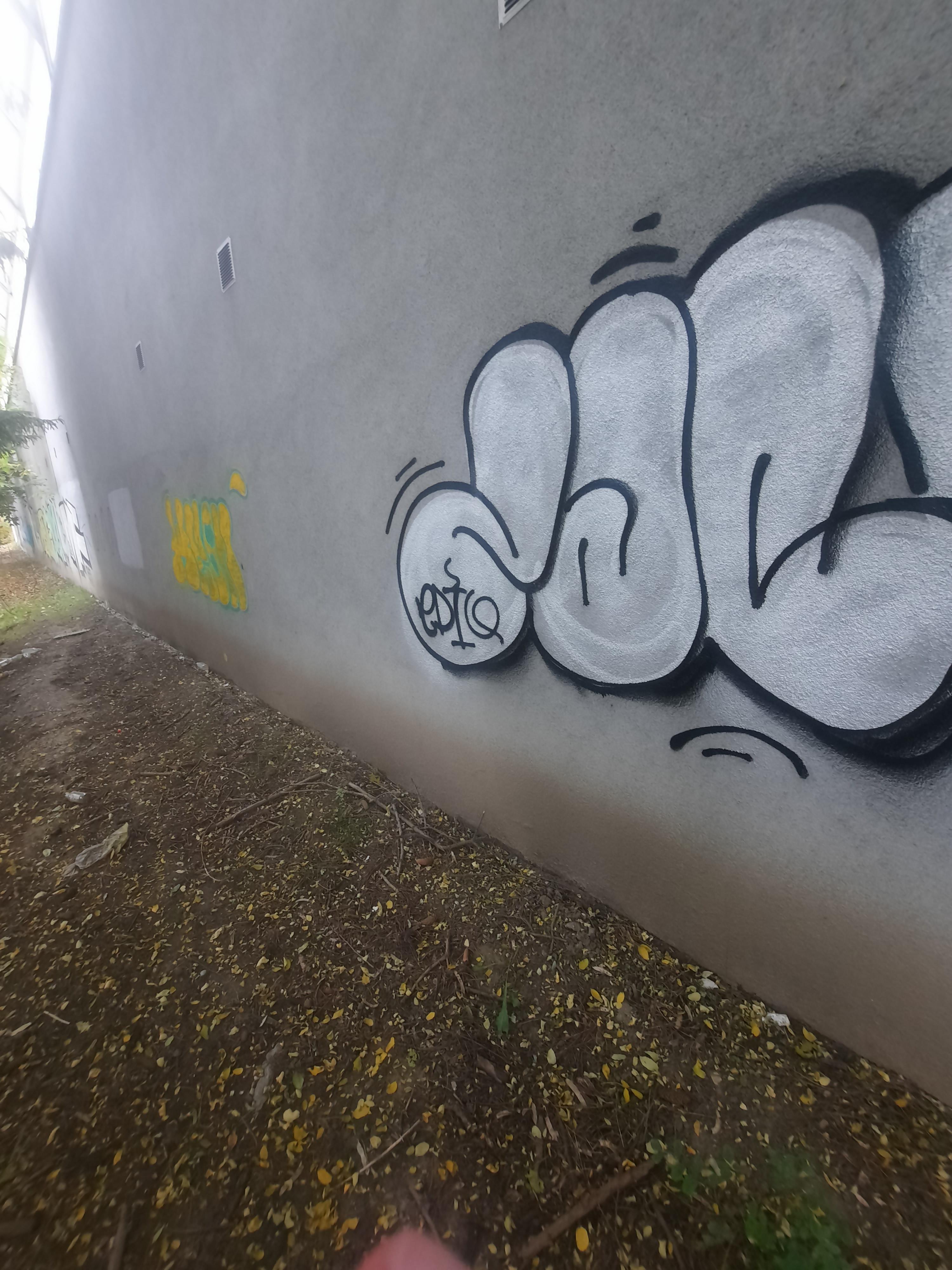 Zdjęcie przed zamalowaniem