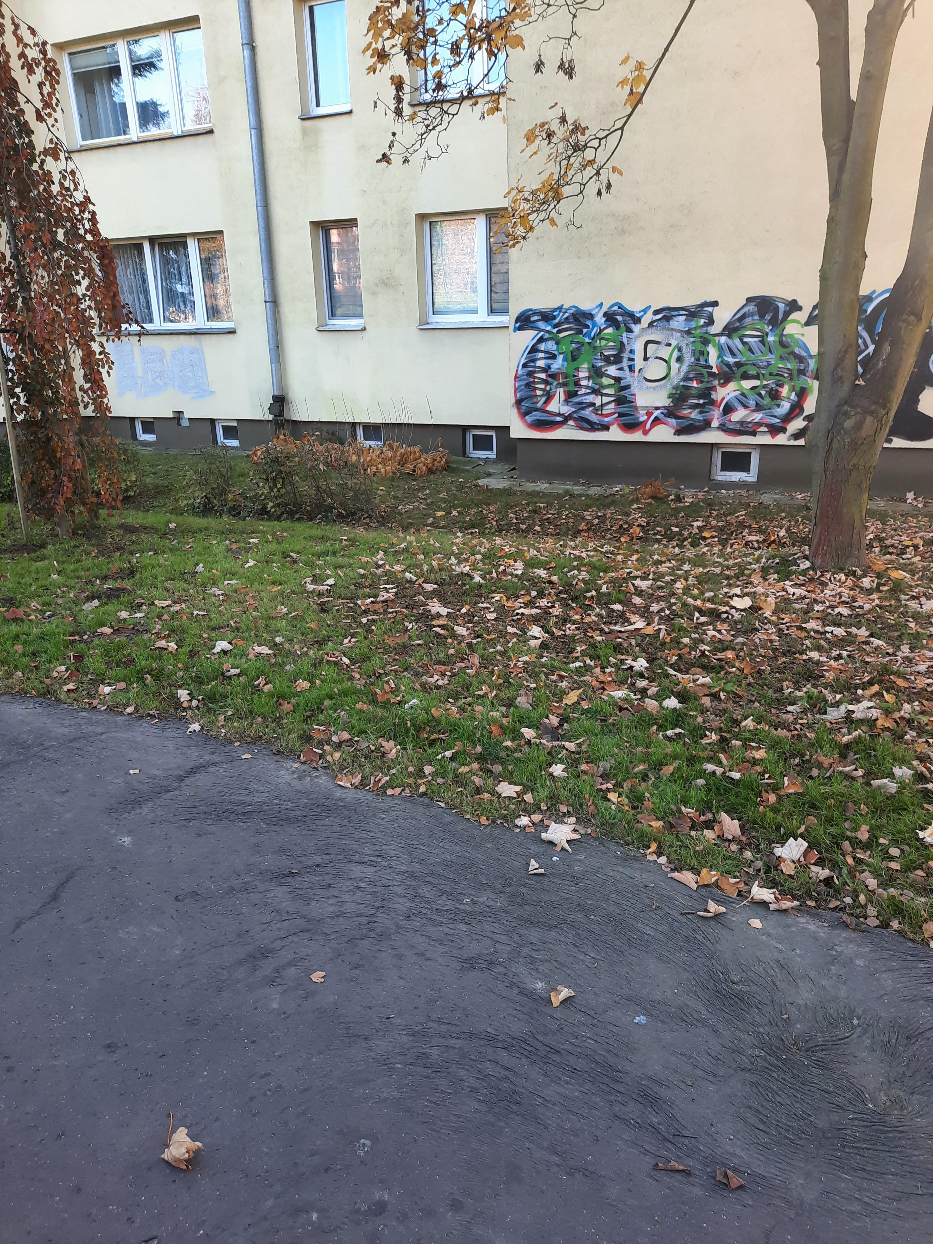 Zdjęcie przed zamalowaniem