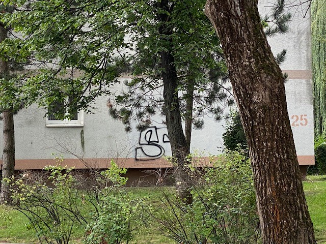 Zdjęcie przed zamalowaniem