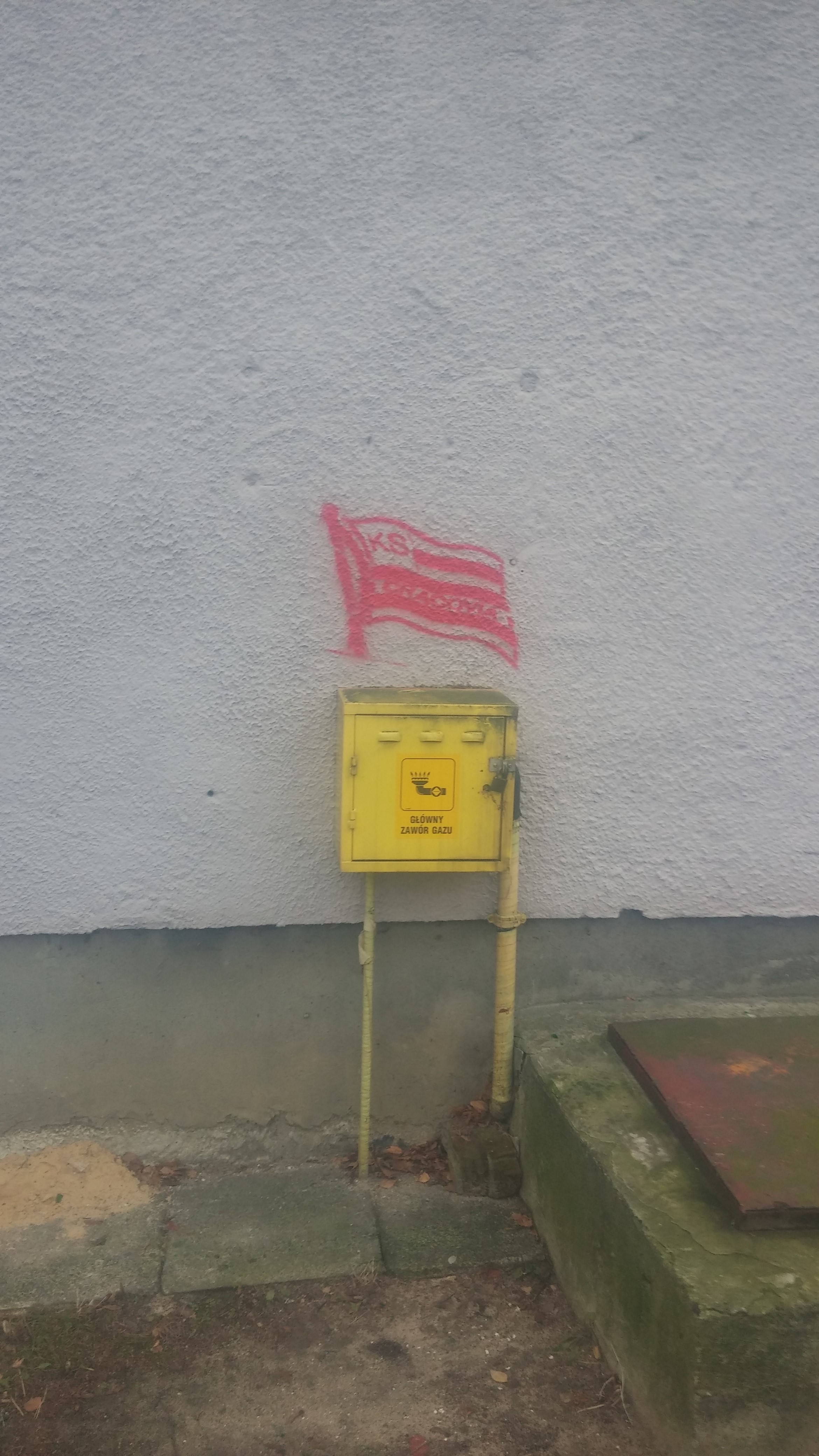 Zdjęcie przed zamalowaniem