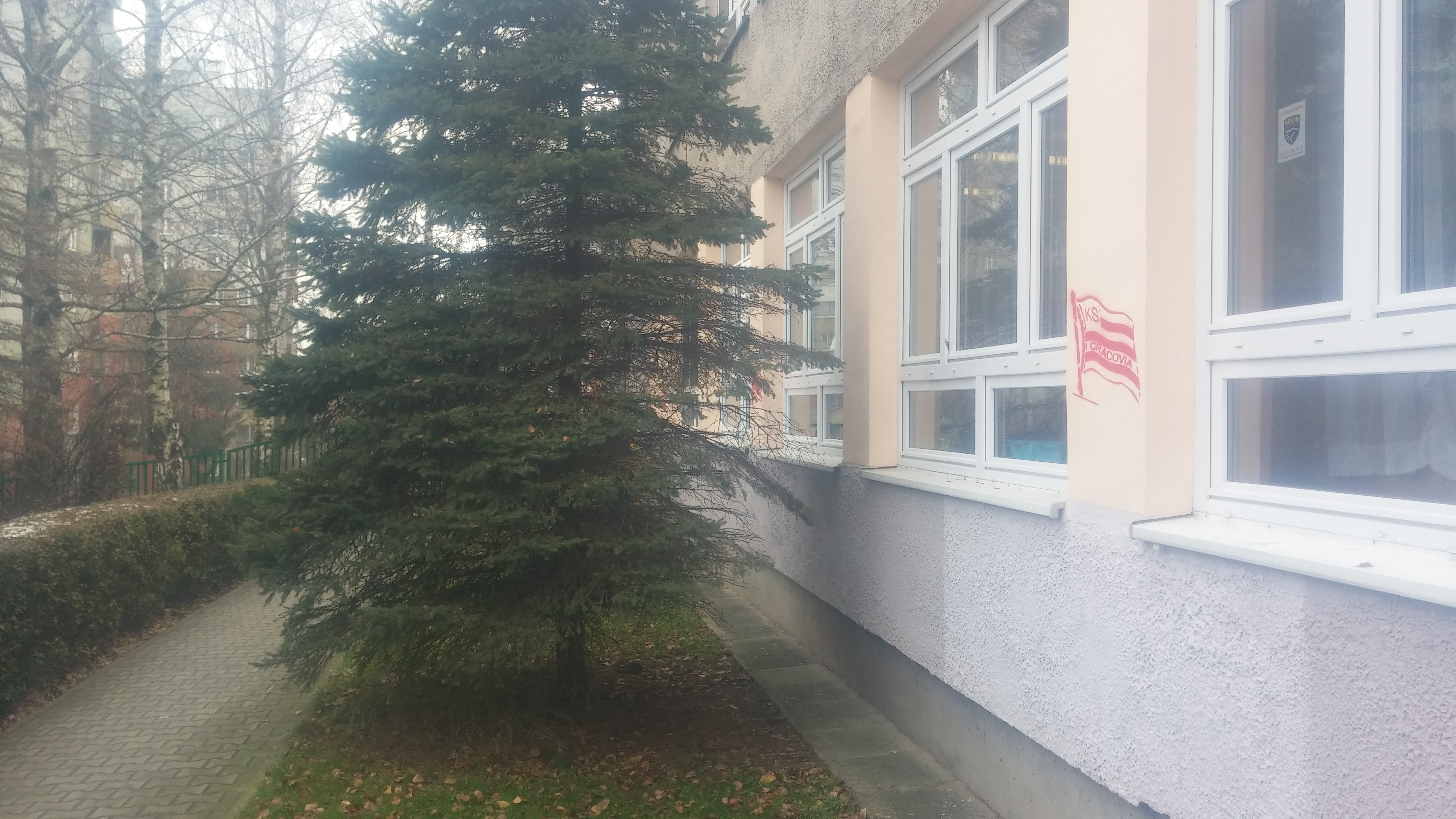 Zdjęcie przed zamalowaniem