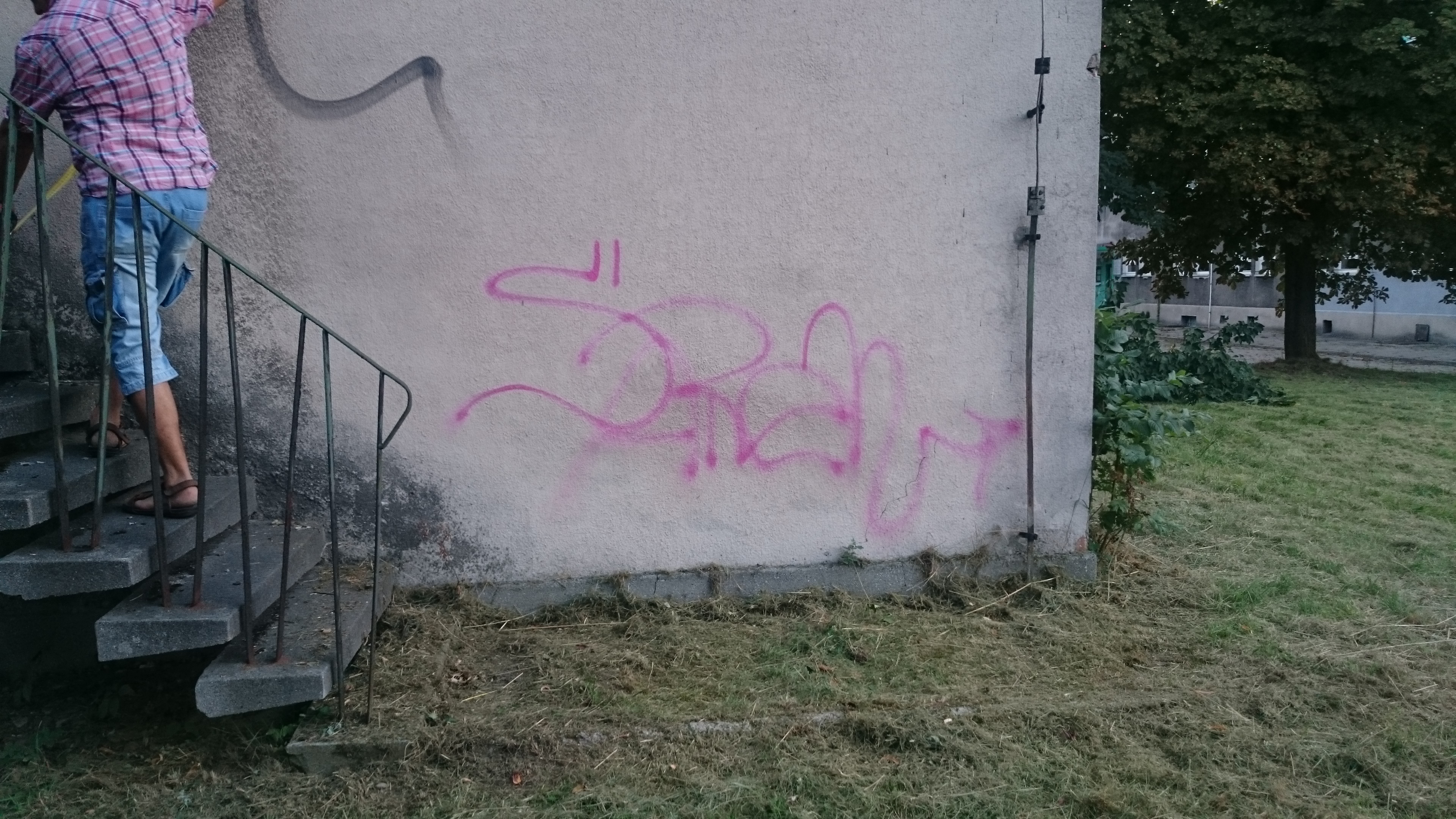 Zdjęcie przed zamalowaniem