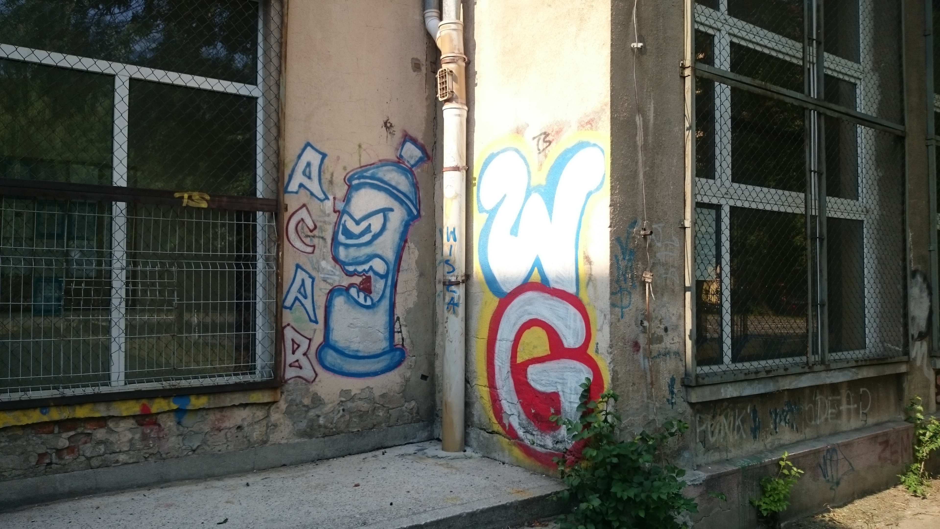Zdjęcie przed zamalowaniem