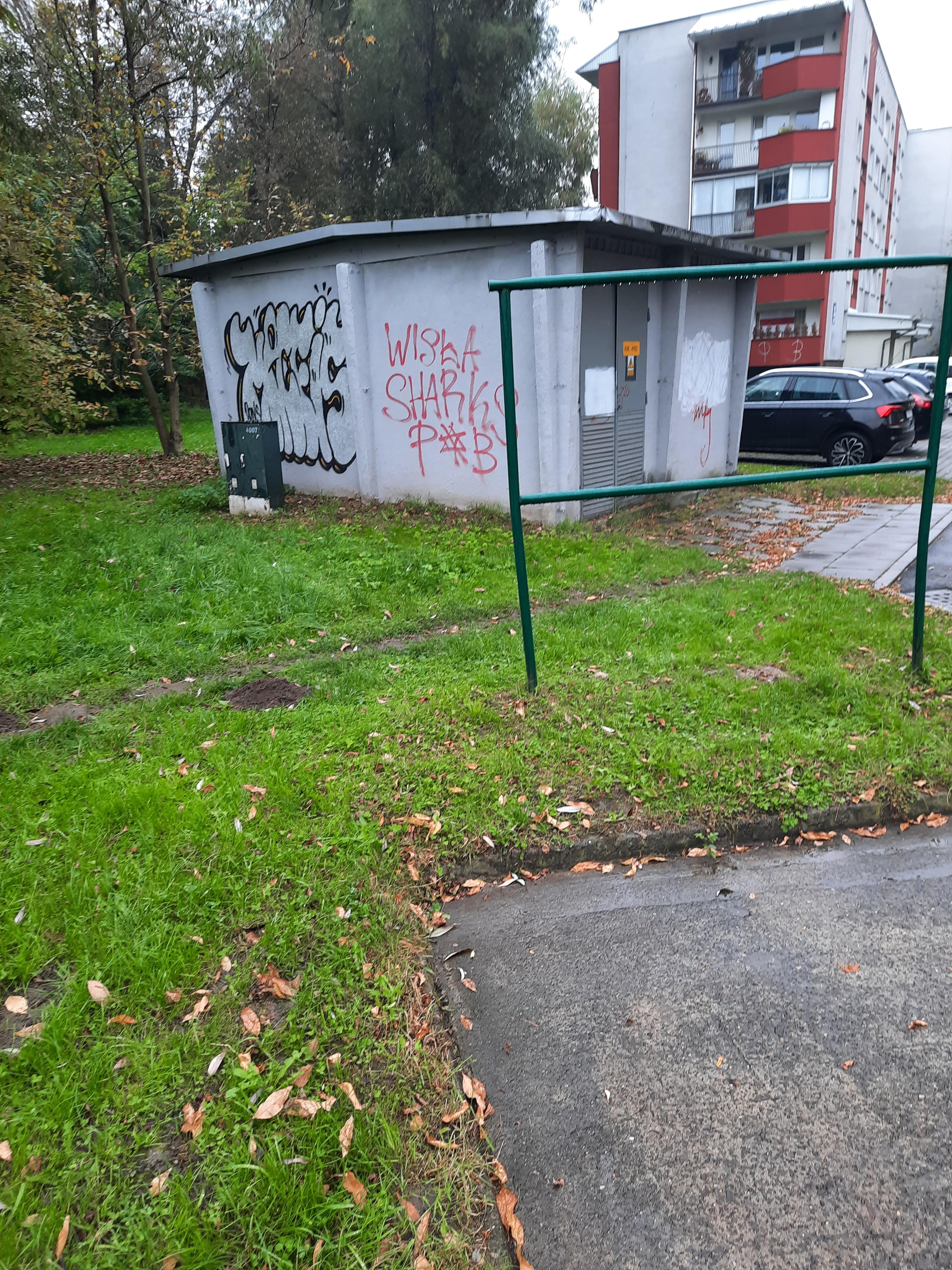 Zdjęcie przed zamalowaniem
