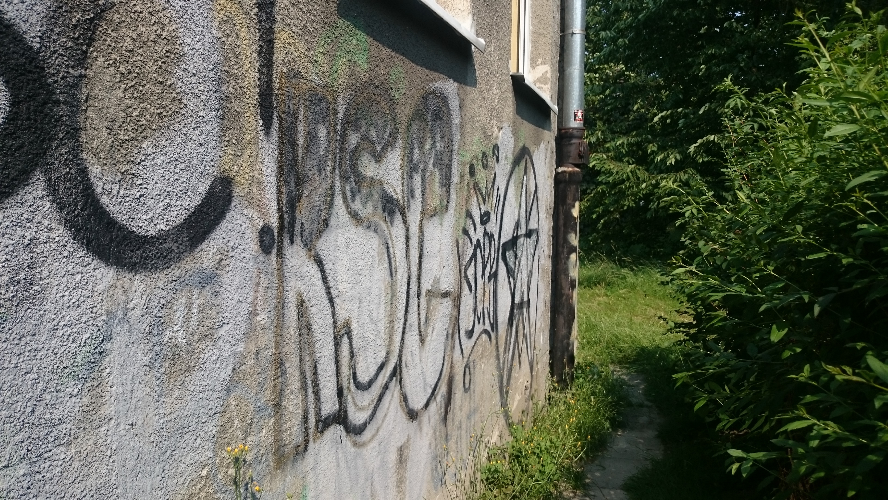 Zdjęcie przed zamalowaniem