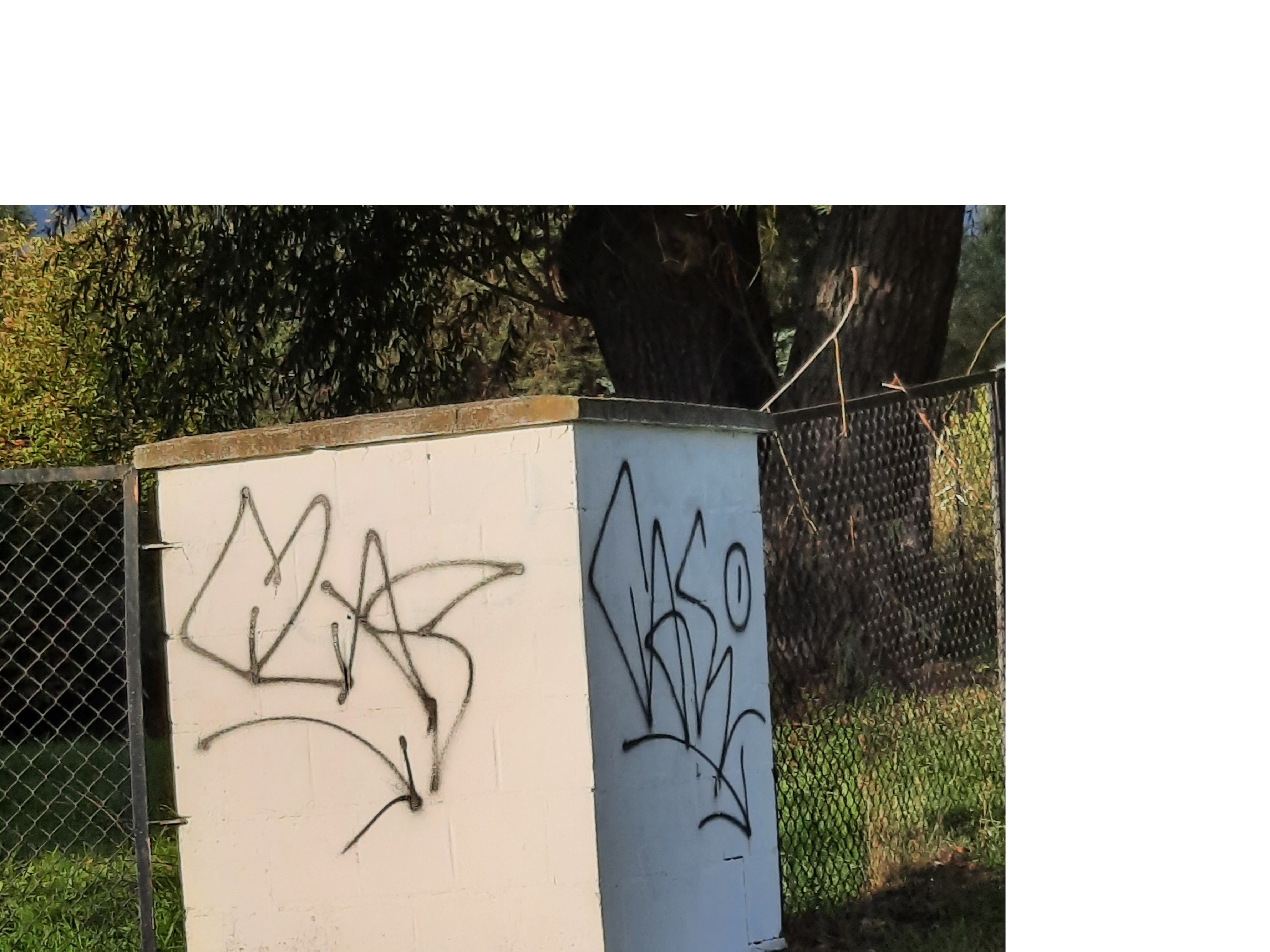 Zdjęcie przed zamalowaniem