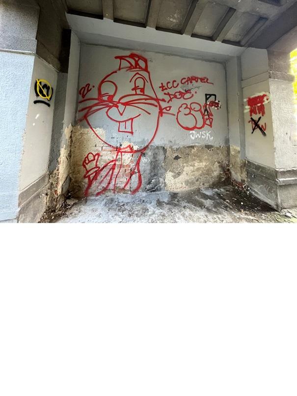 Zdjęcie przed zamalowaniem