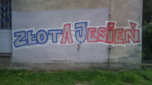 Zdjęcie przed zamalowaniem