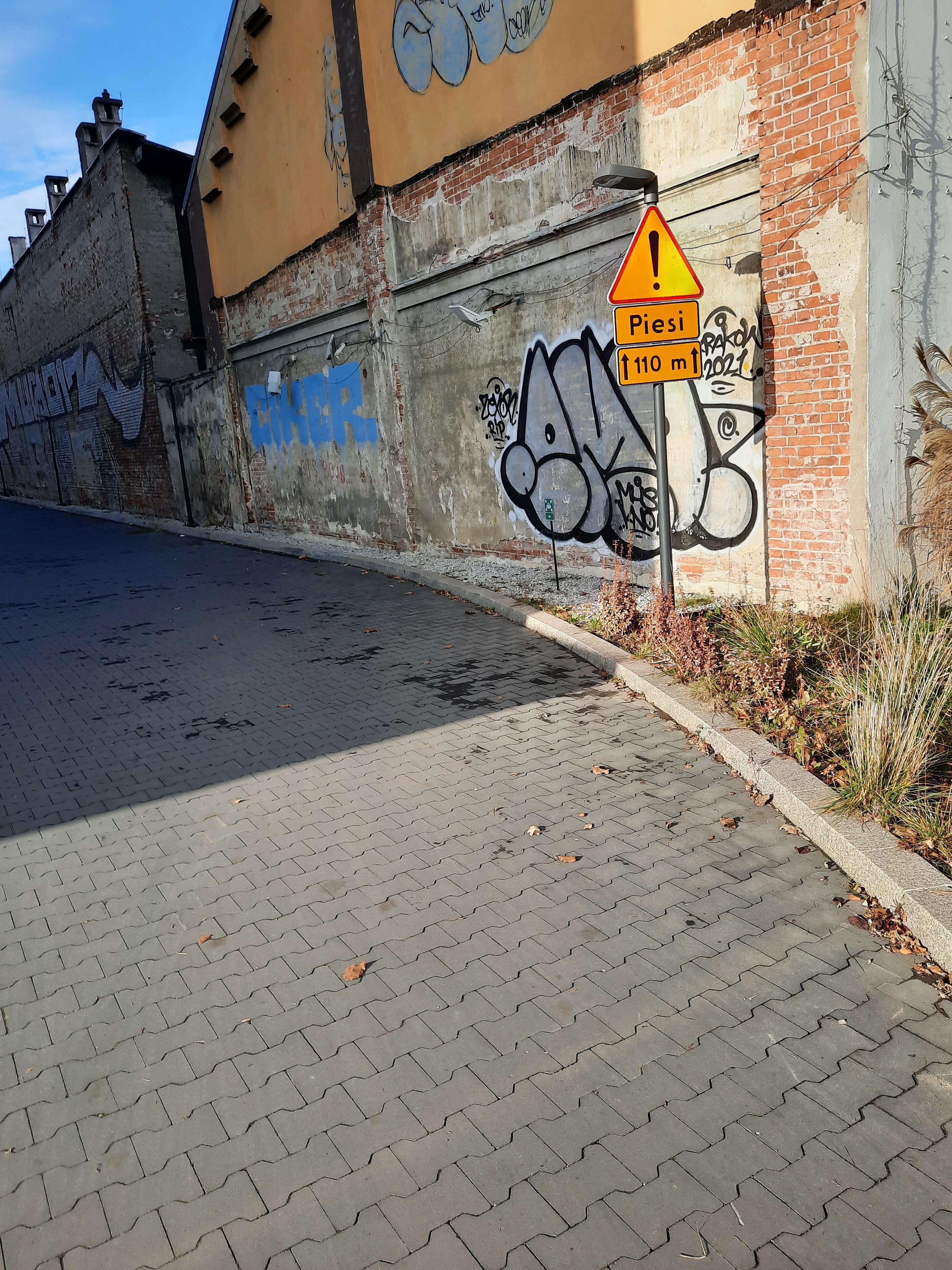 Zdjęcie przed zamalowaniem