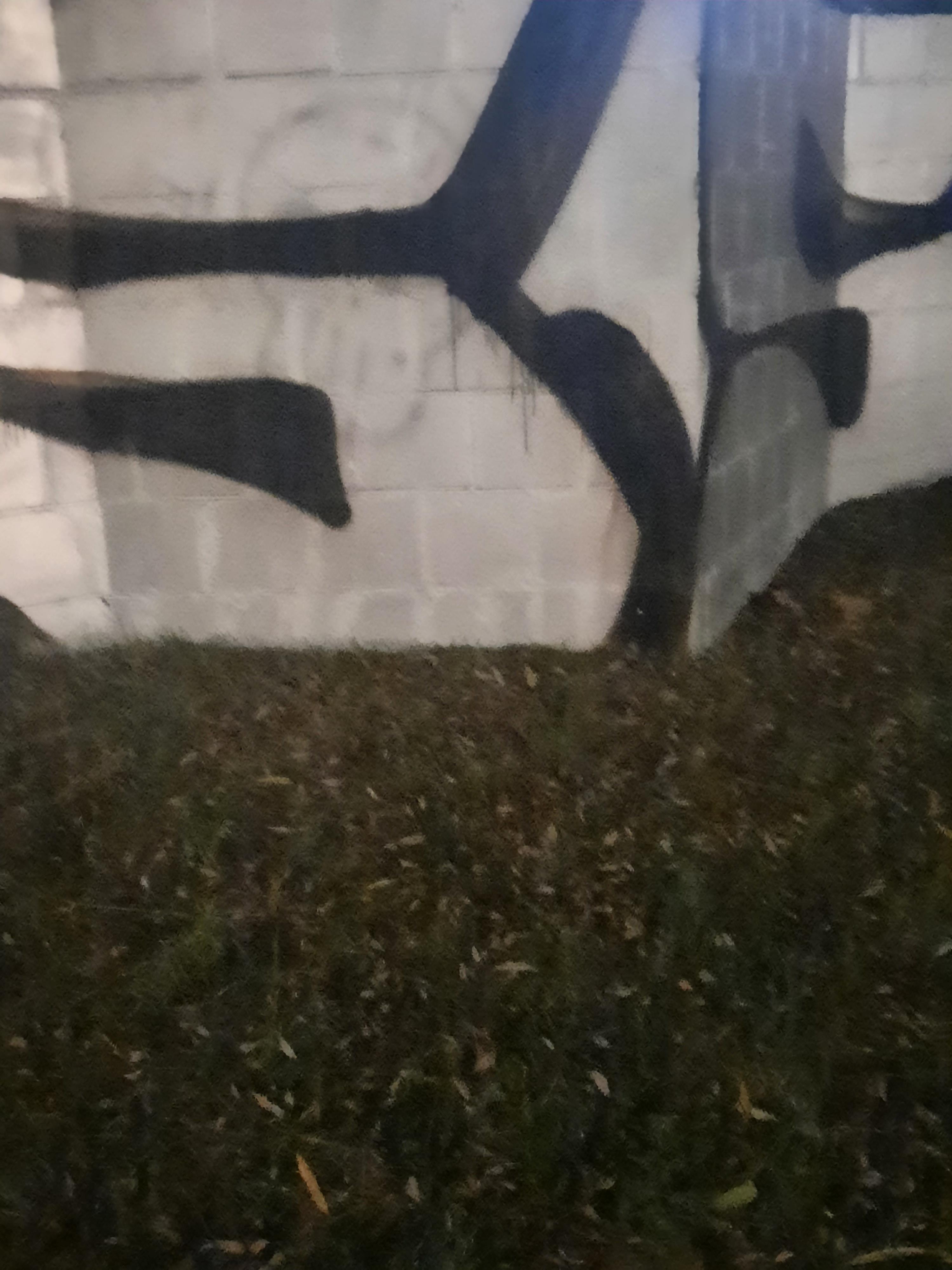 Zdjęcie przed zamalowaniem