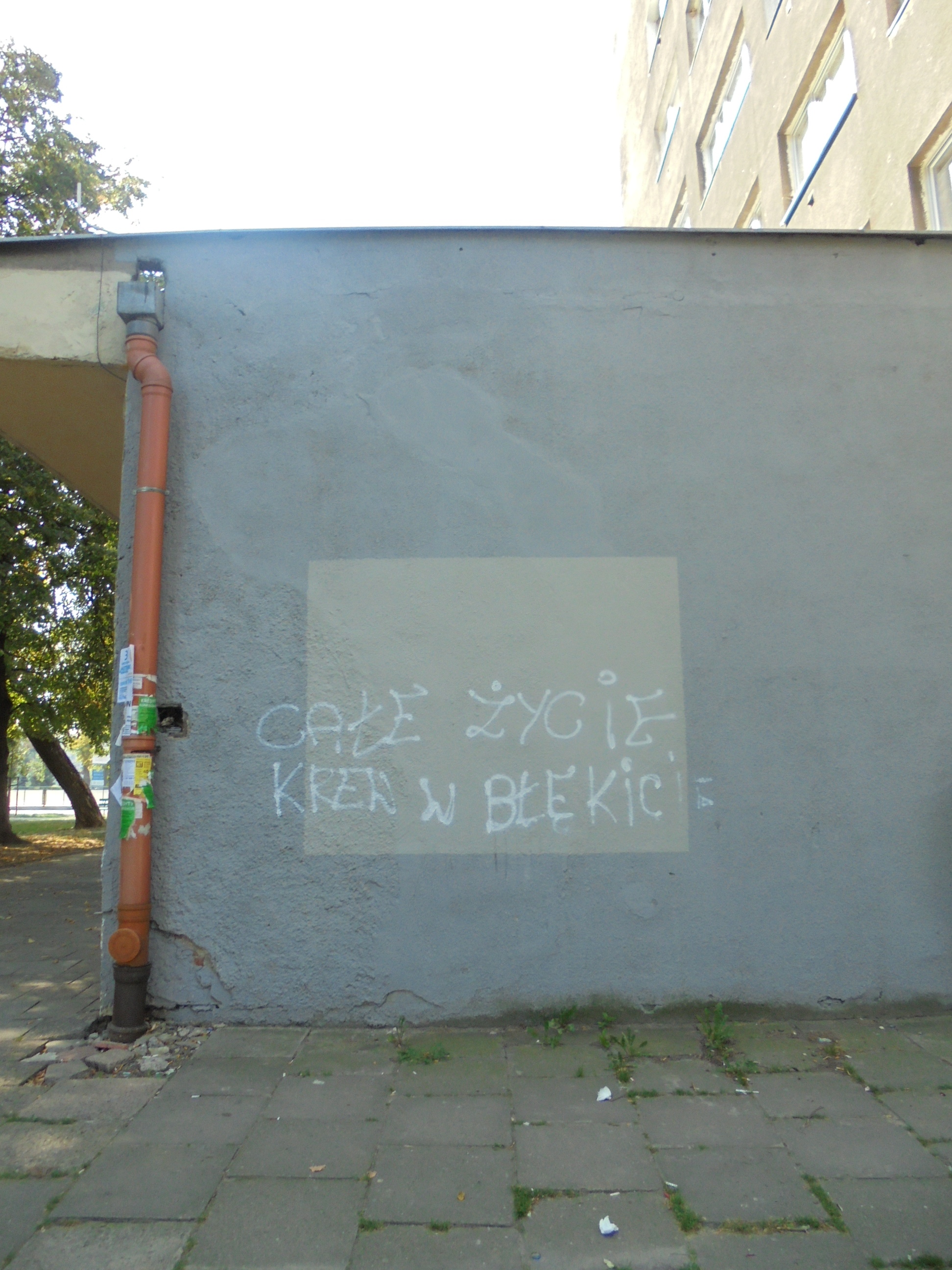 Zdjęcie przed zamalowaniem