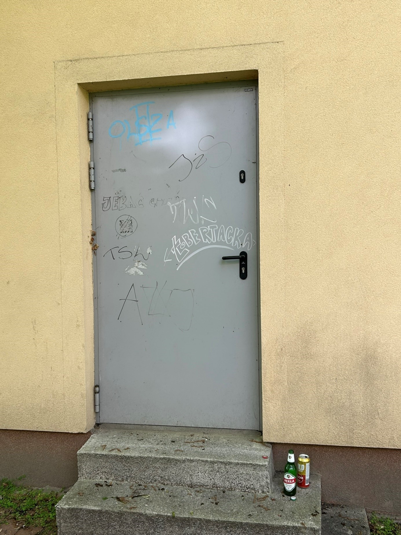 Zdjęcie przed zamalowaniem