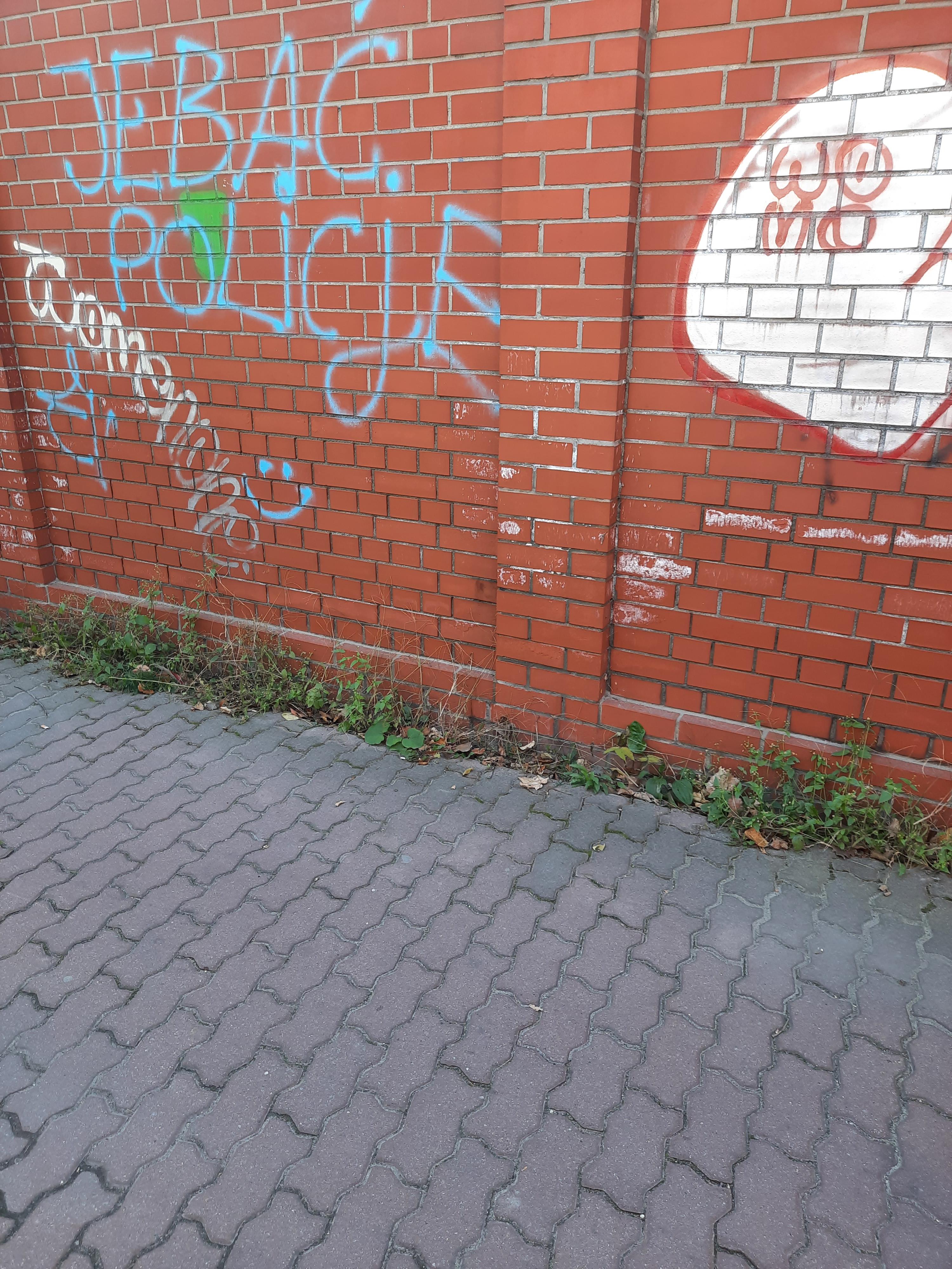 Zdjęcie przed zamalowaniem