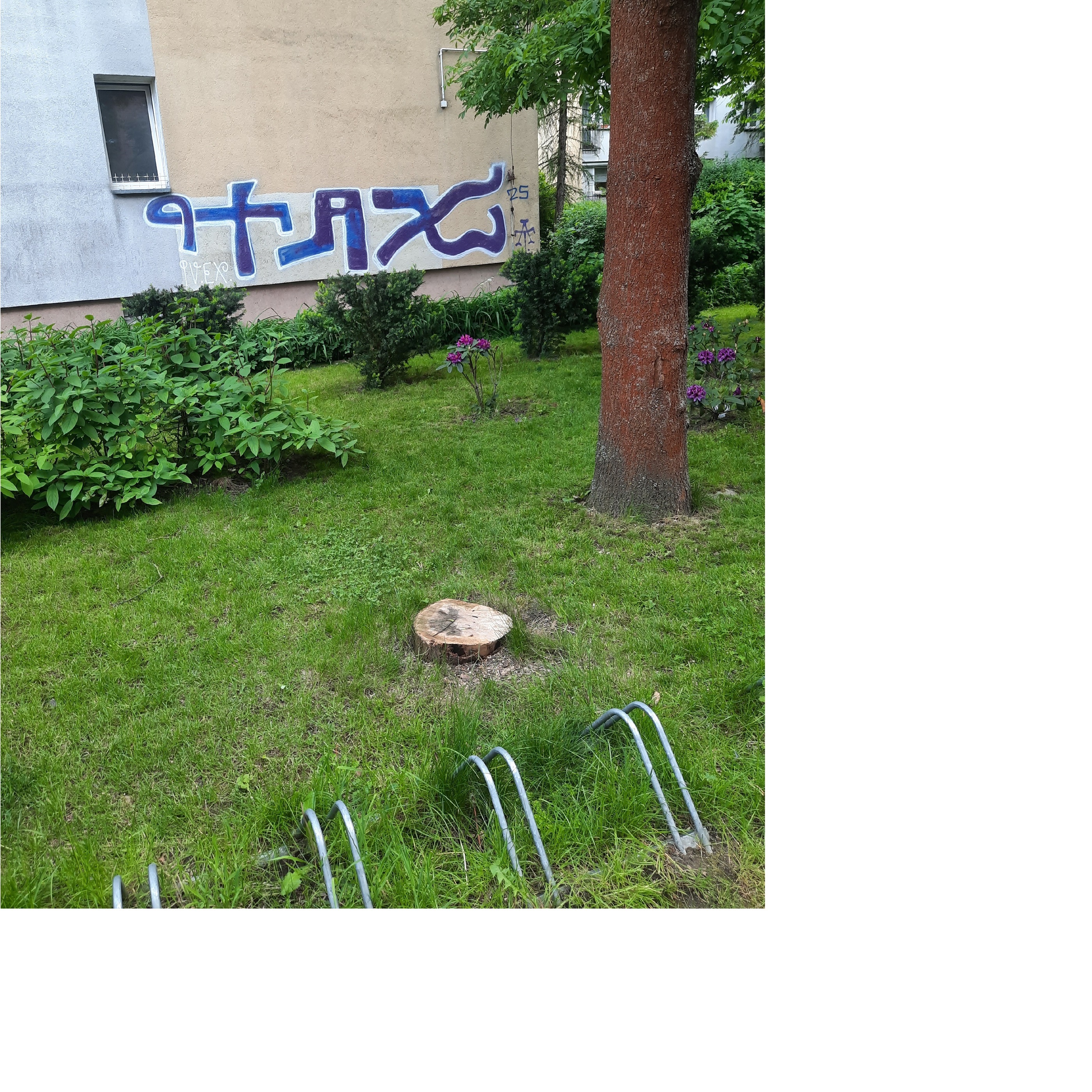 Zdjęcie przed zamalowaniem