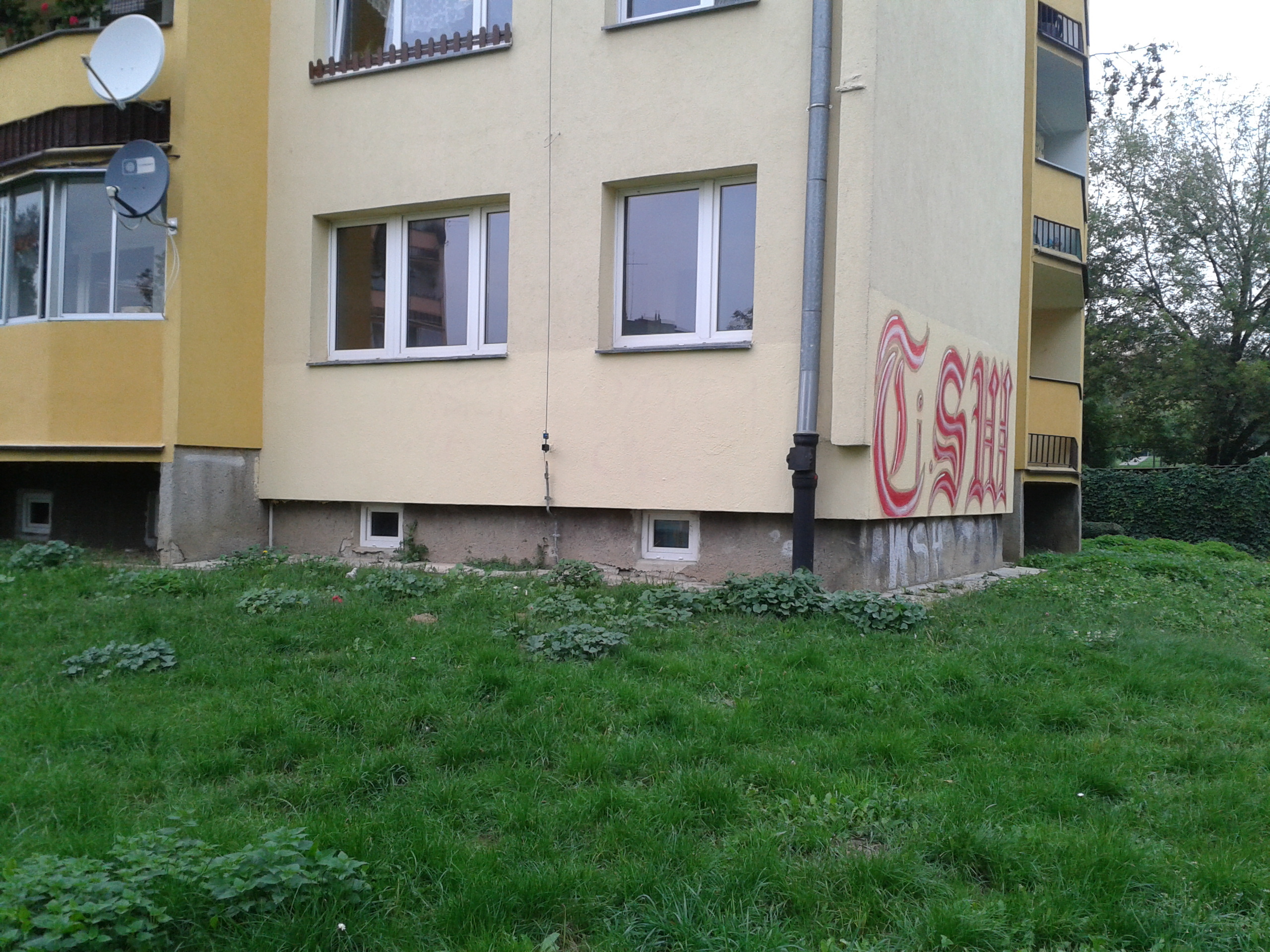 Zdjęcie przed zamalowaniem