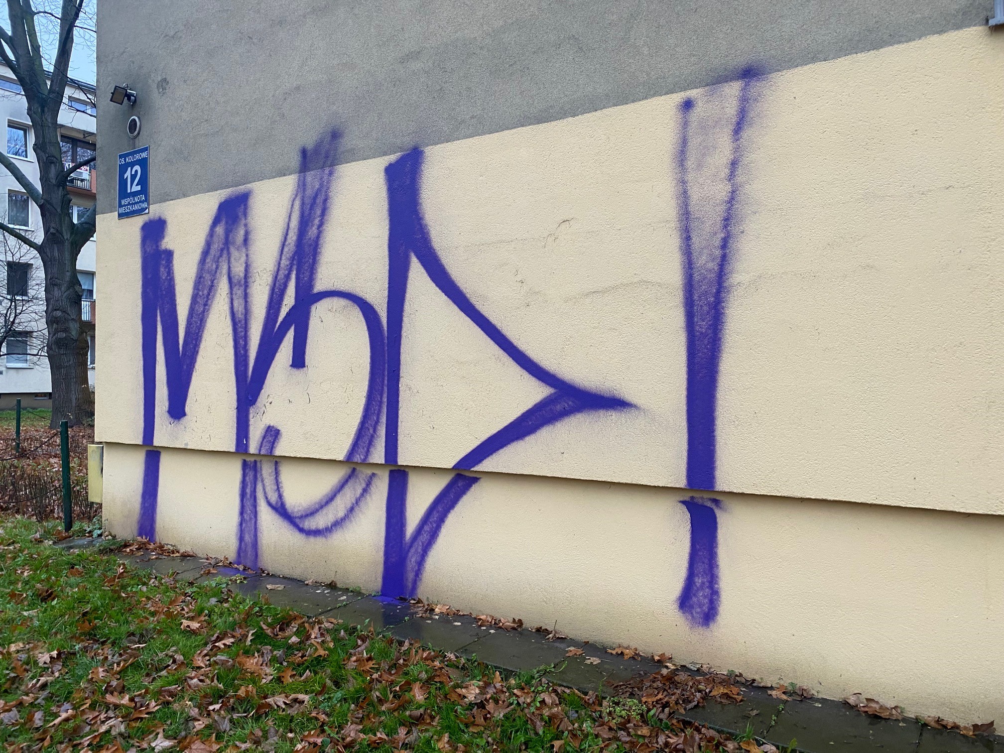 Zdjęcie przed zamalowaniem