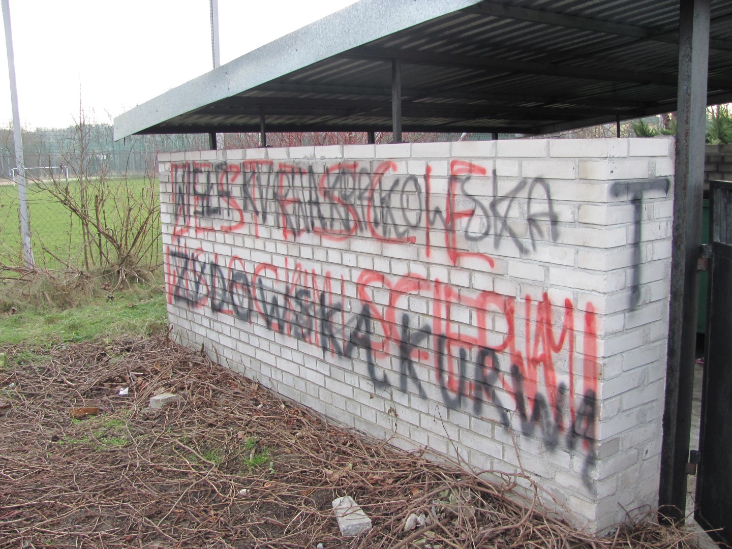 Zdjęcie przed zamalowaniem