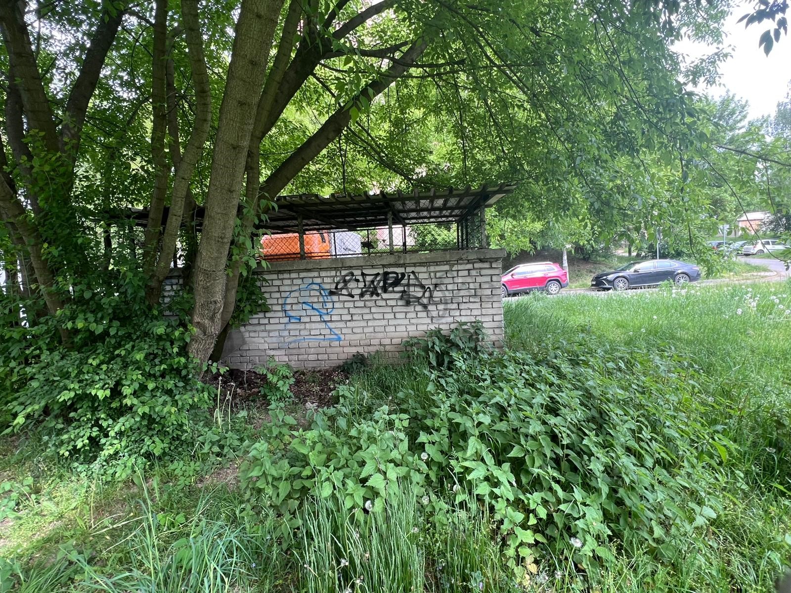 Zdjęcie przed zamalowaniem