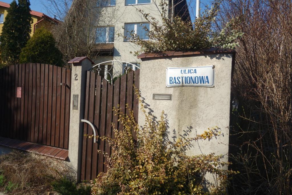 Zdjęcie przed zamalowaniem