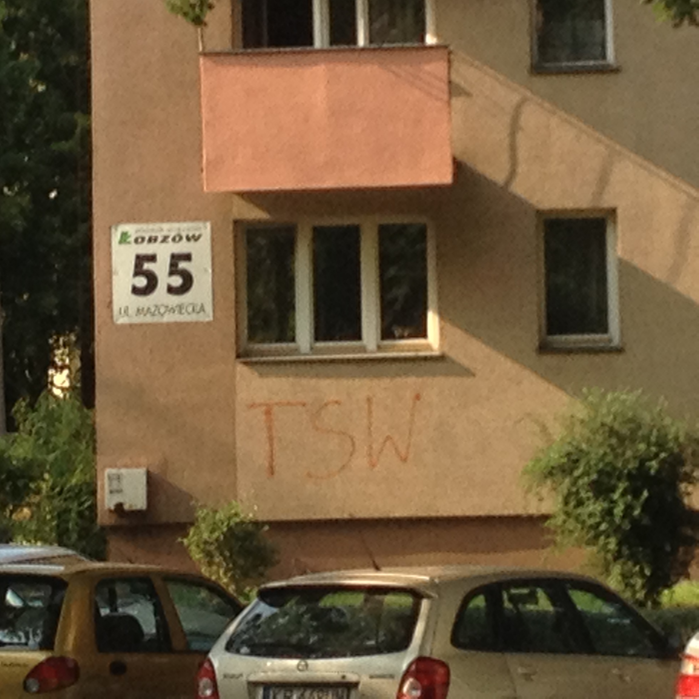 Zdjęcie przed zamalowaniem