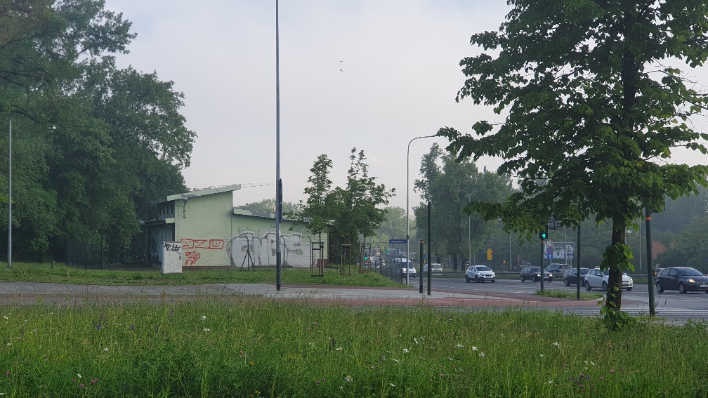 Zdjęcie przed zamalowaniem