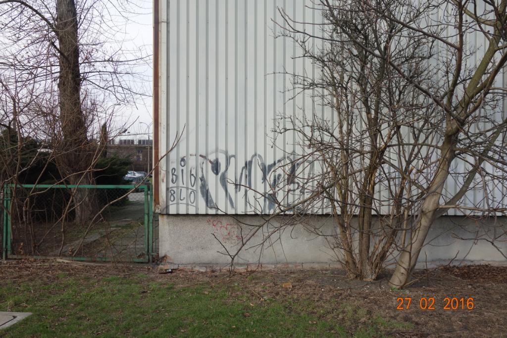 Zdjęcie przed zamalowaniem