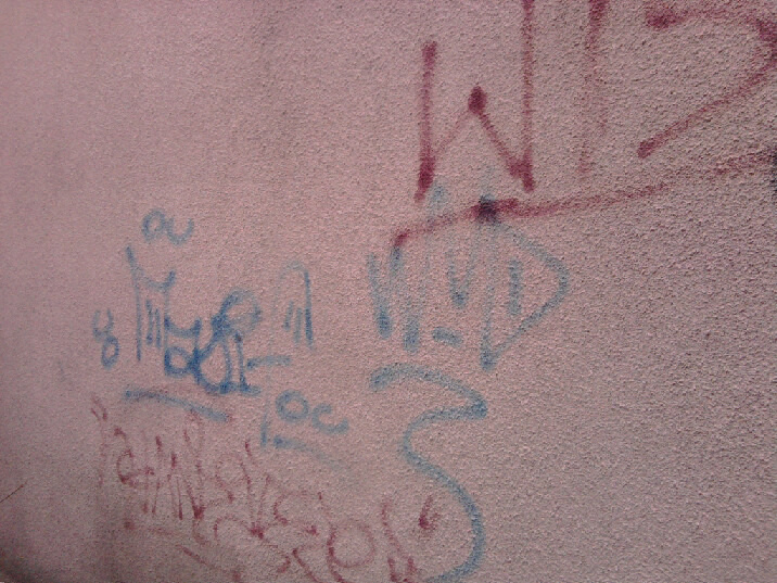 Zdjęcie przed zamalowaniem