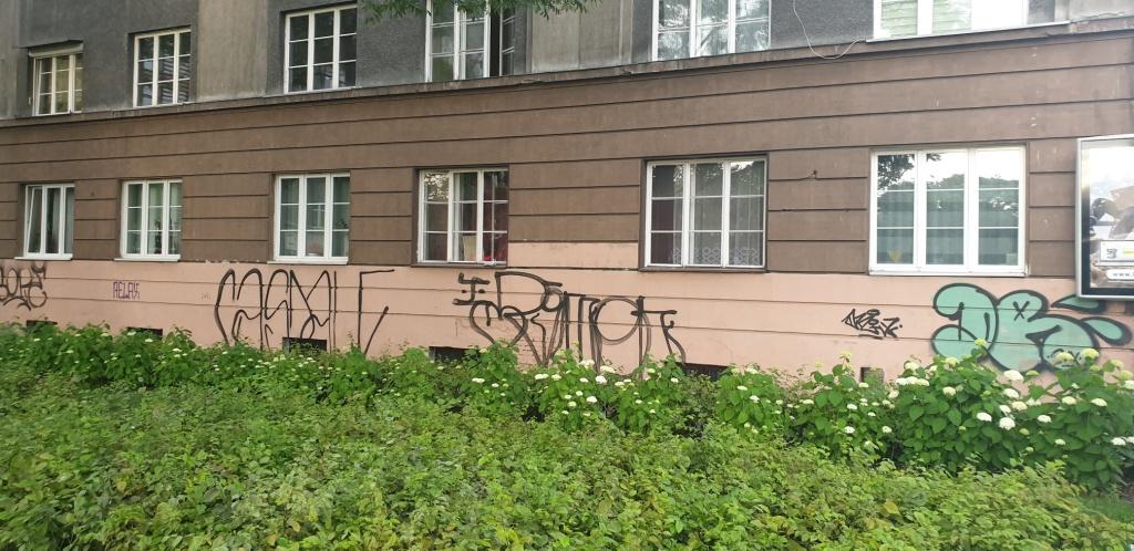 Zdjęcie przed zamalowaniem