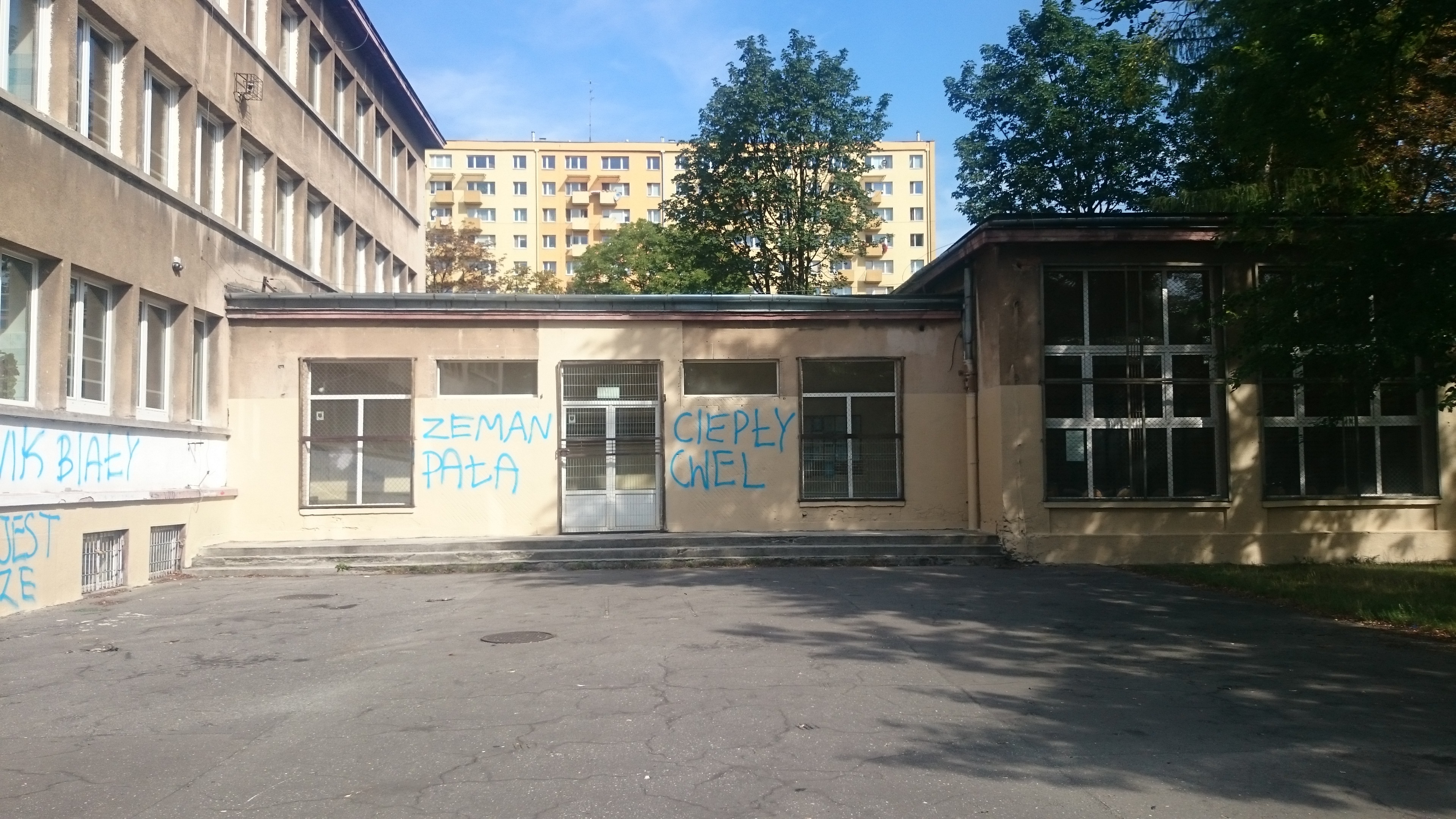 Zdjęcie przed zamalowaniem