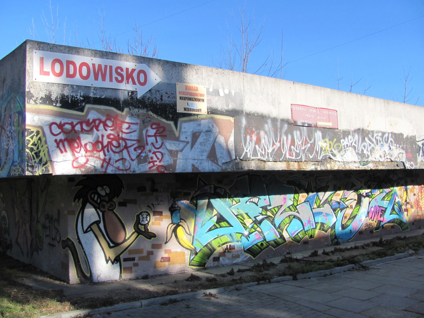 Zdjęcie przed zamalowaniem