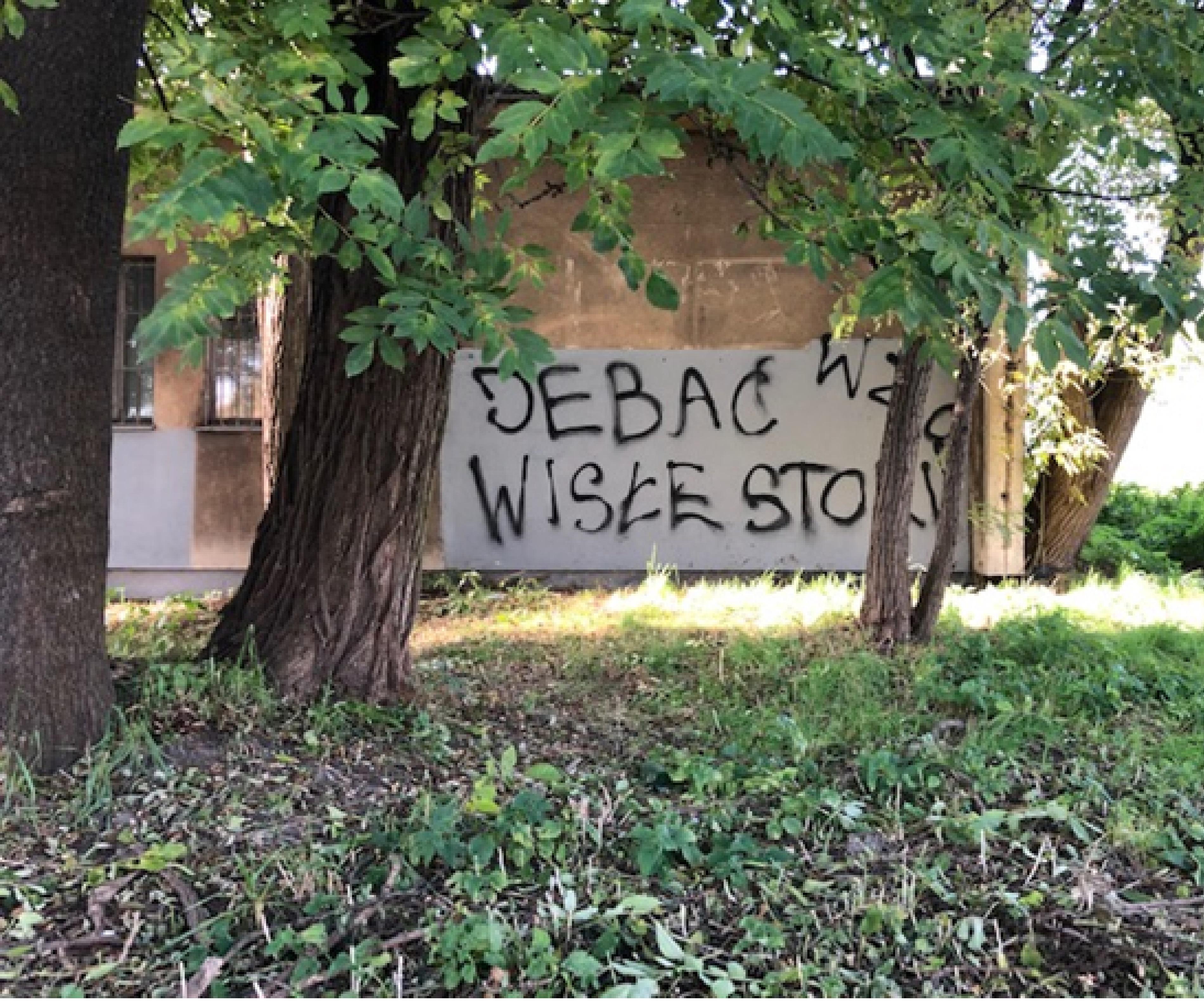 Zdjęcie przed zamalowaniem