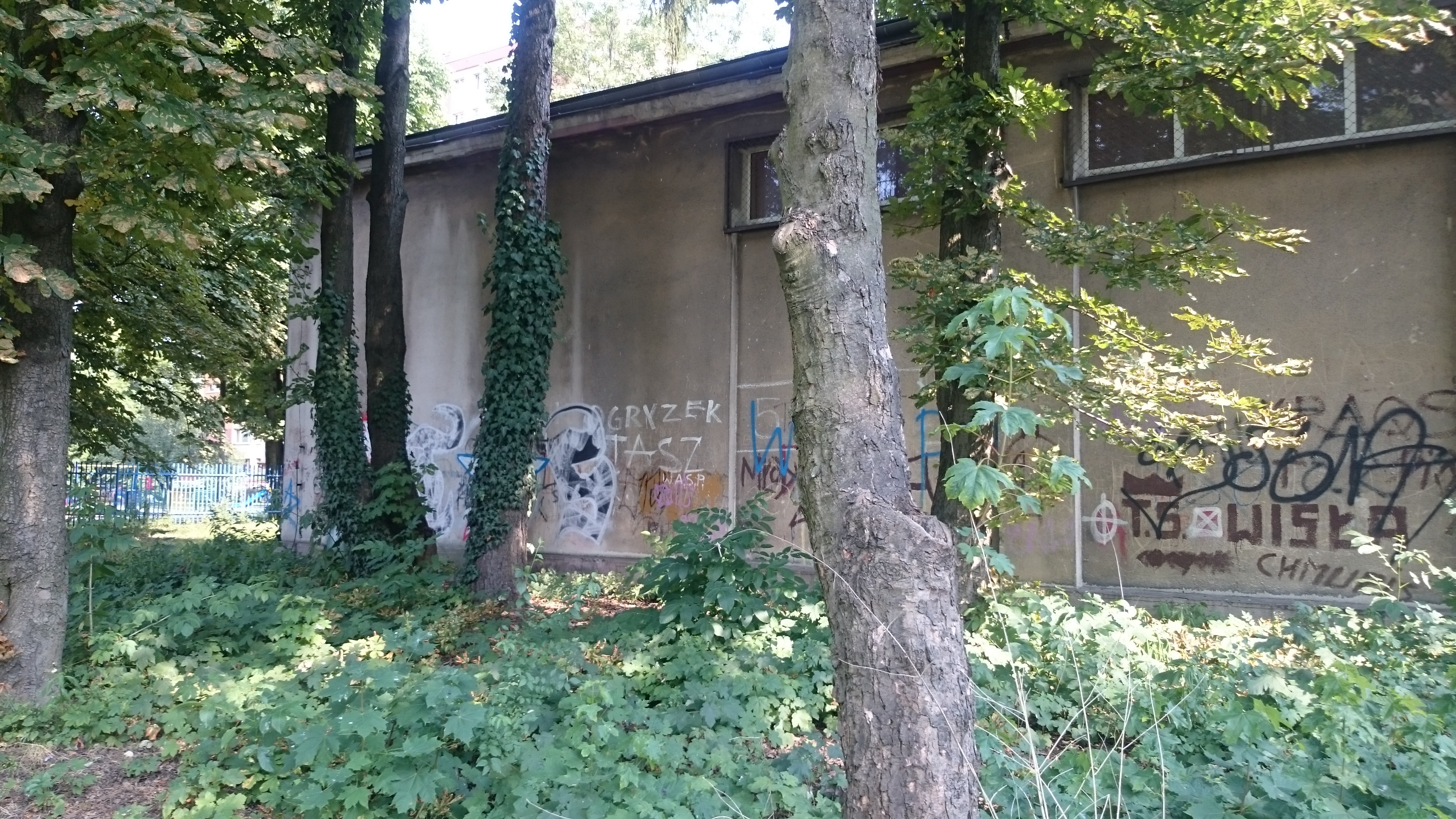 Zdjęcie przed zamalowaniem