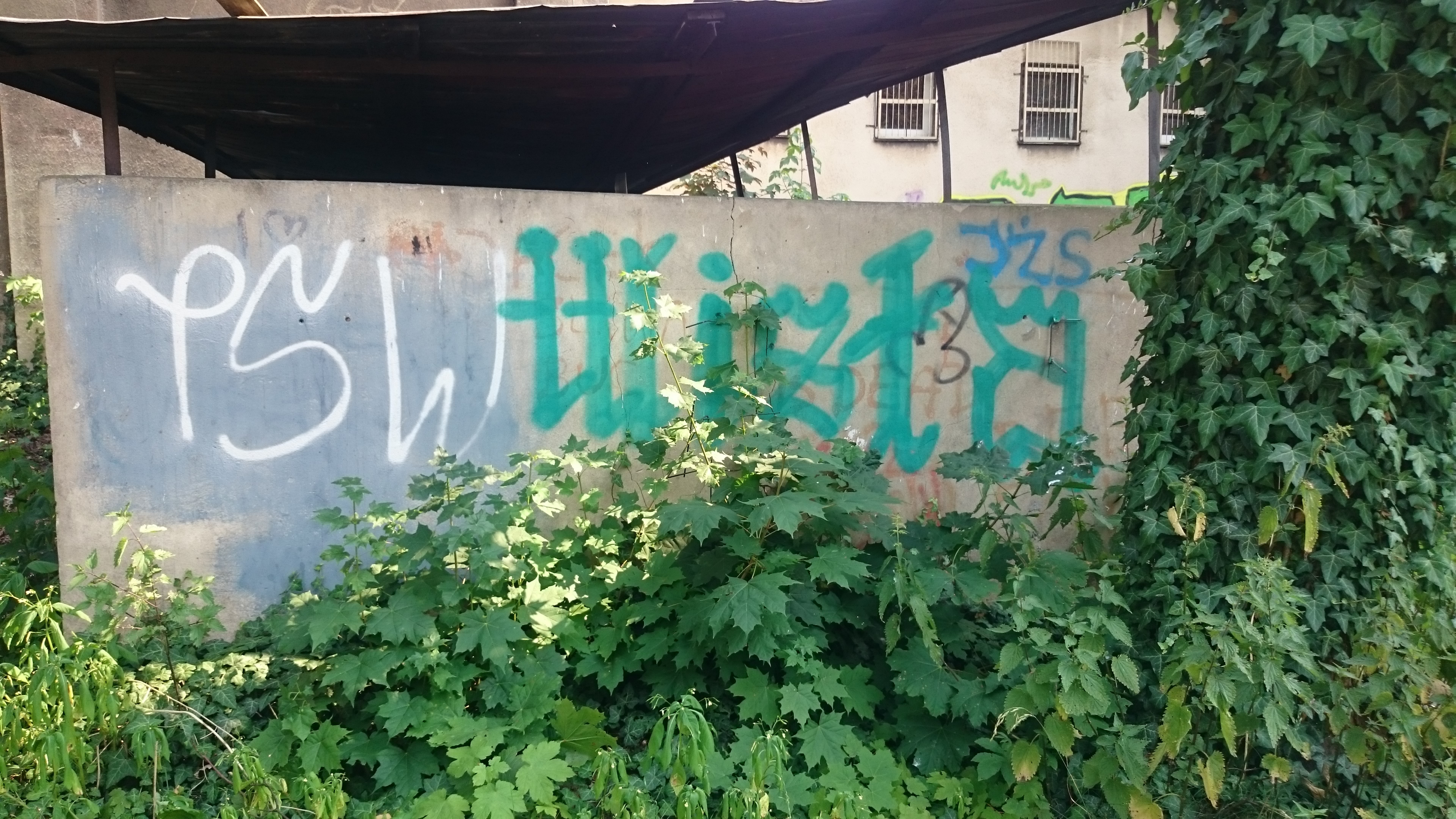 Zdjęcie przed zamalowaniem