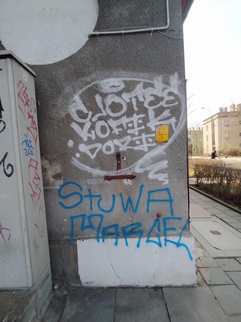 Zdjęcie przed zamalowaniem