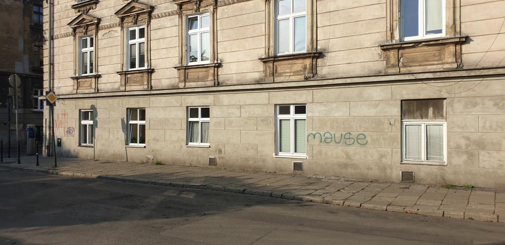 Zdjęcie przed zamalowaniem