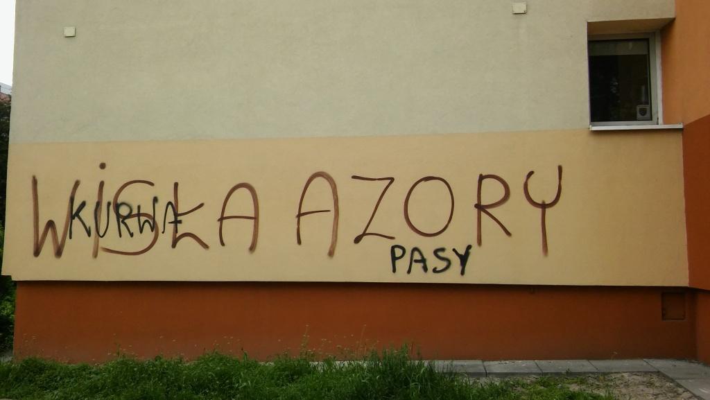 Zdjęcie przed zamalowaniem
