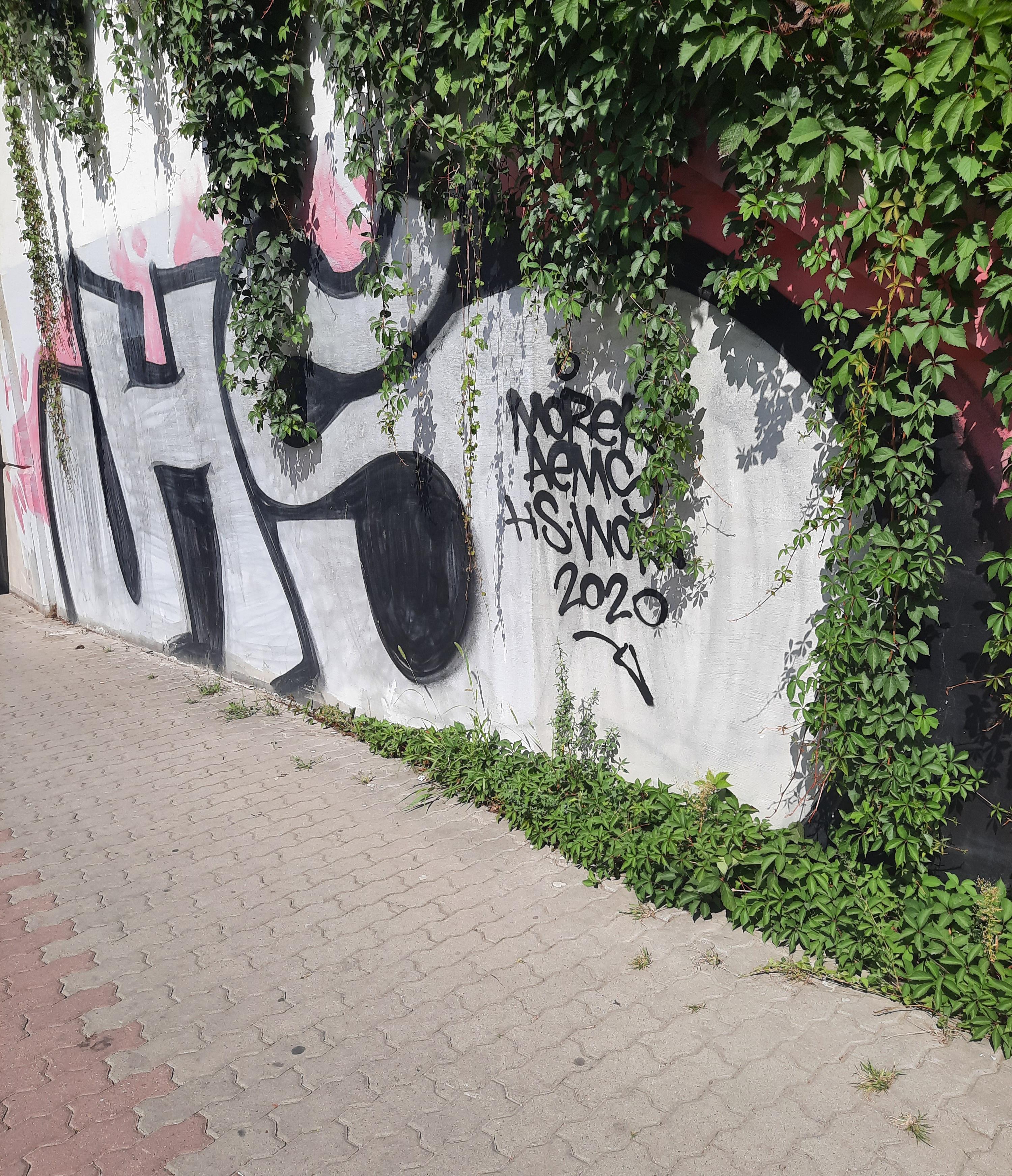 Zdjęcie przed zamalowaniem
