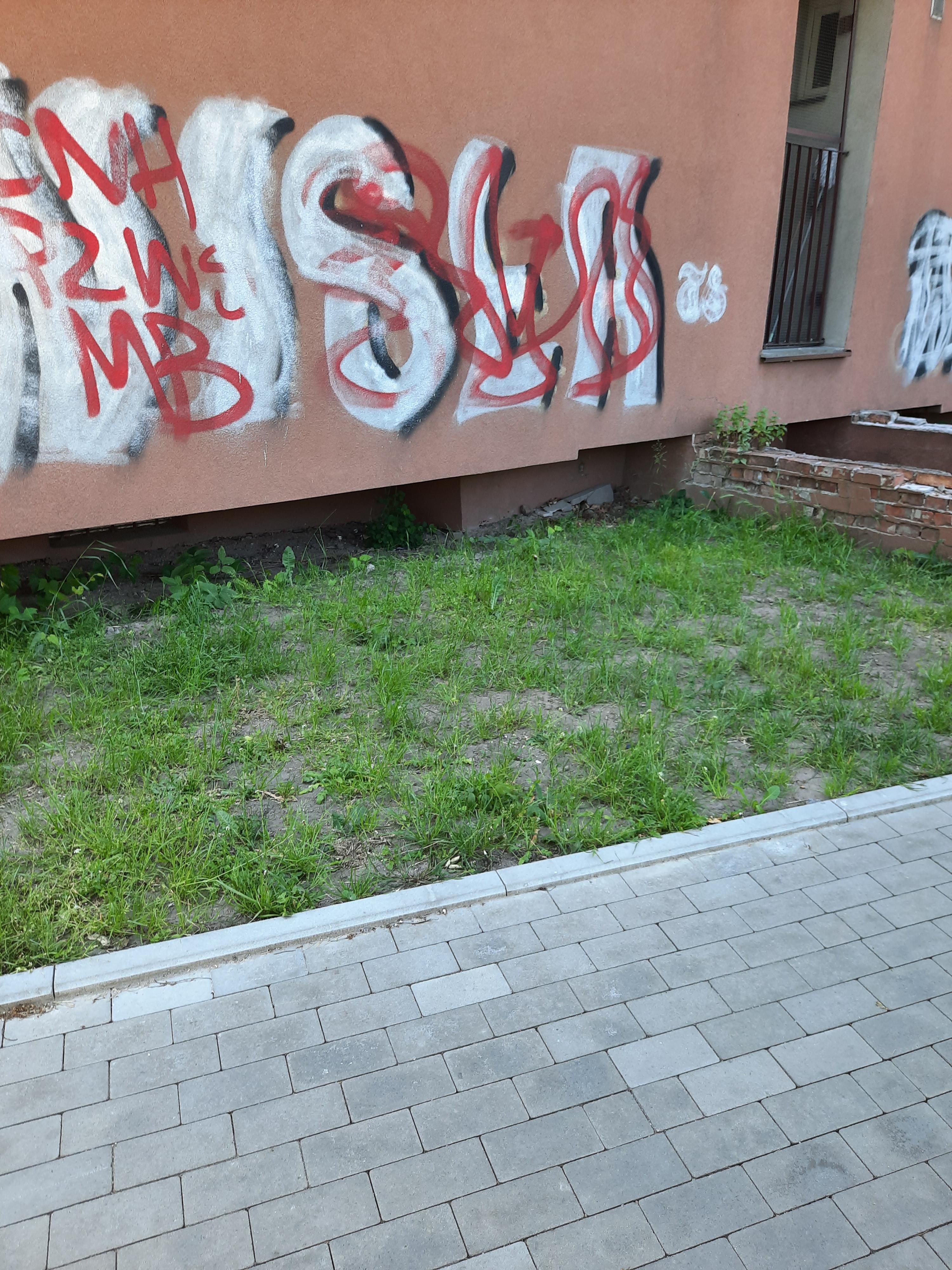 Zdjęcie przed zamalowaniem