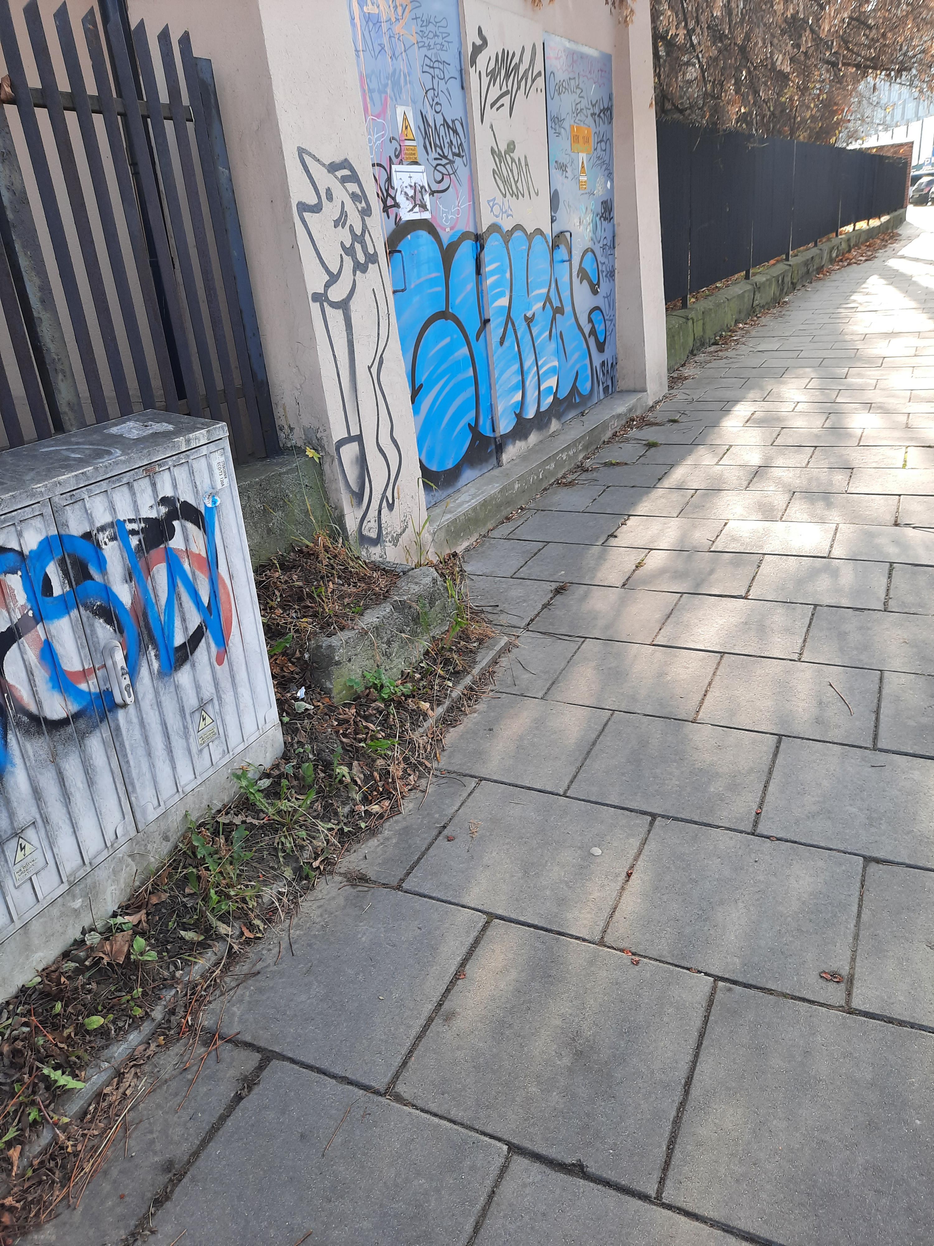 Zdjęcie przed zamalowaniem