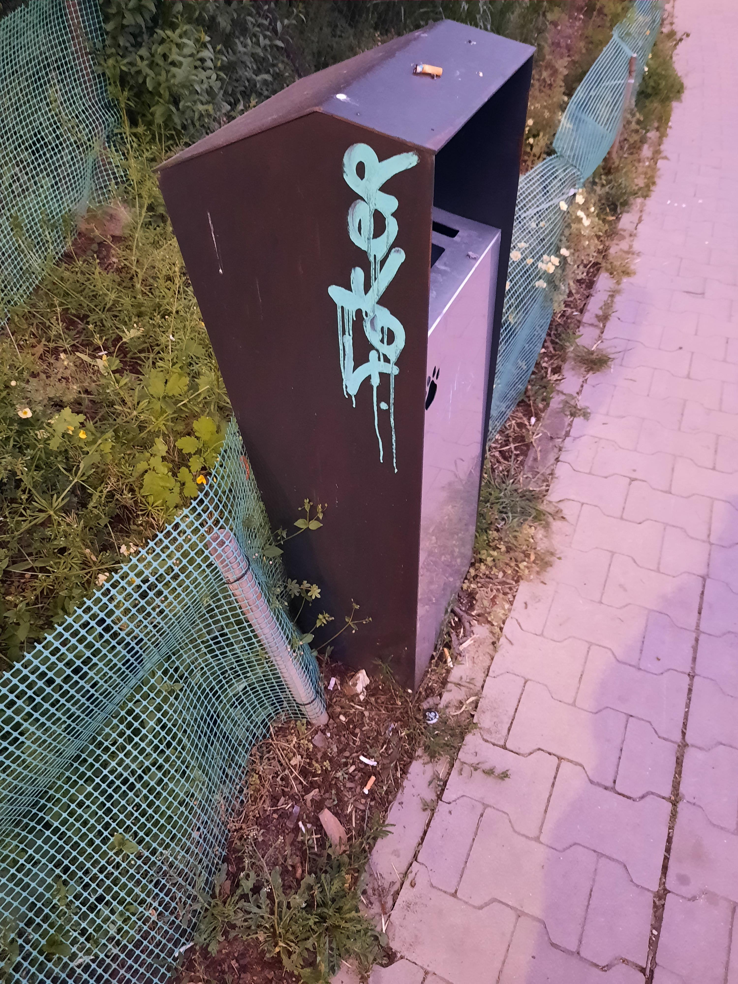Zdjęcie przed zamalowaniem