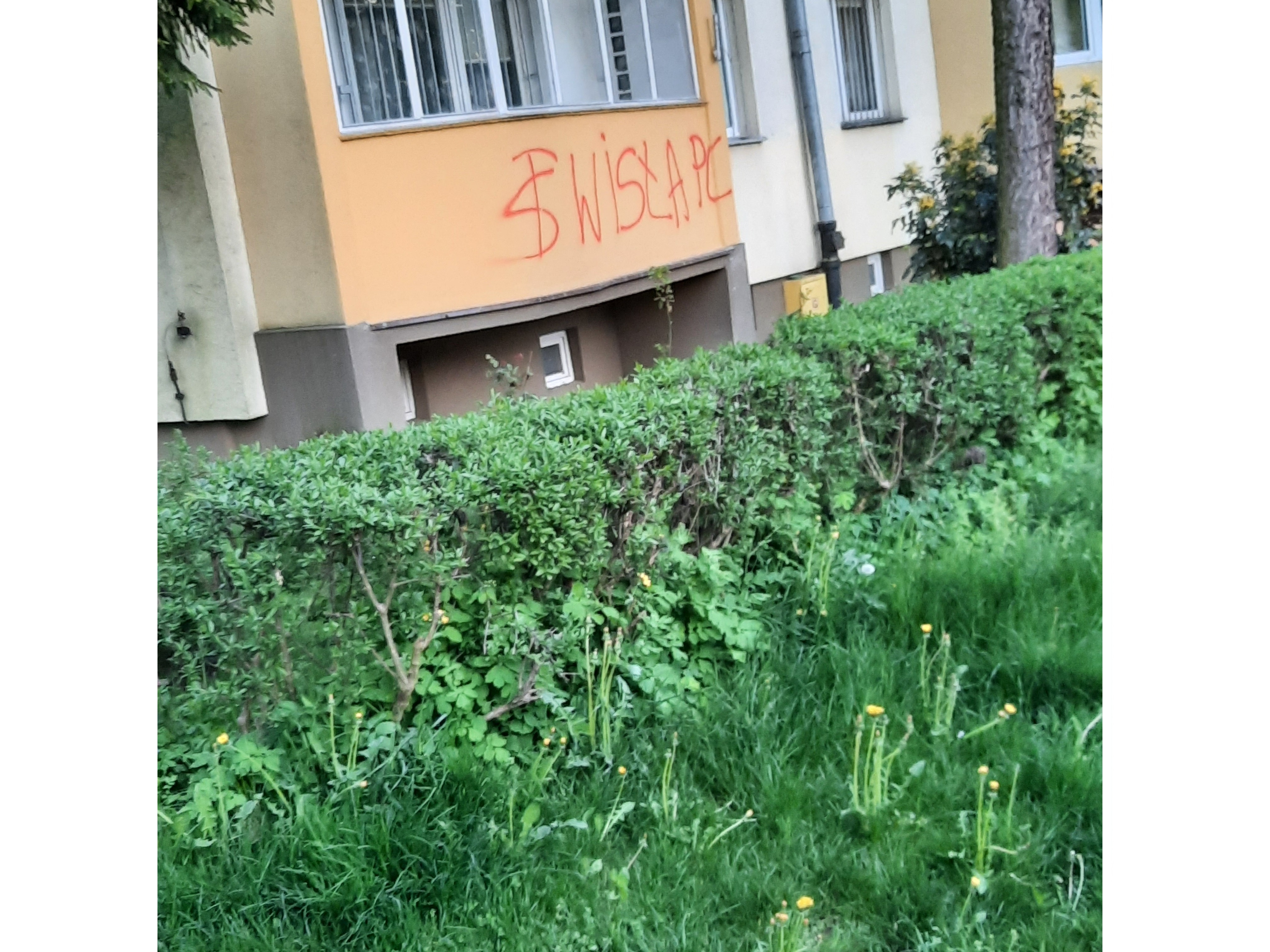Zdjęcie przed zamalowaniem