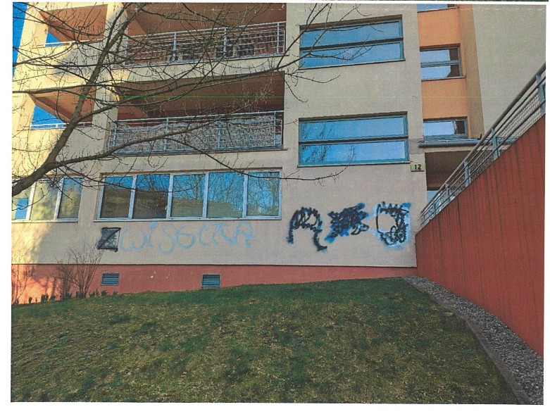 Zdjęcie przed zamalowaniem