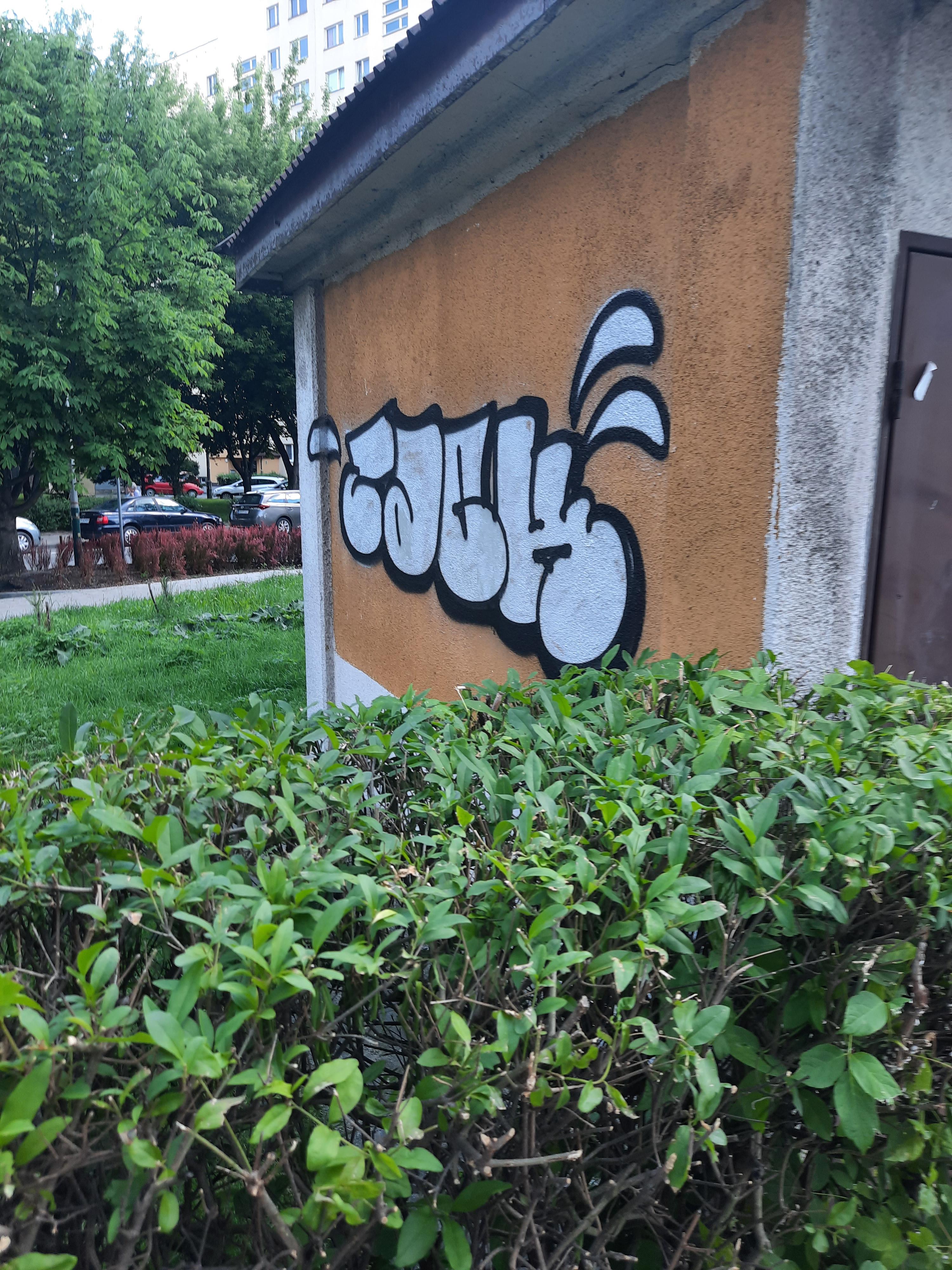 Zdjęcie przed zamalowaniem