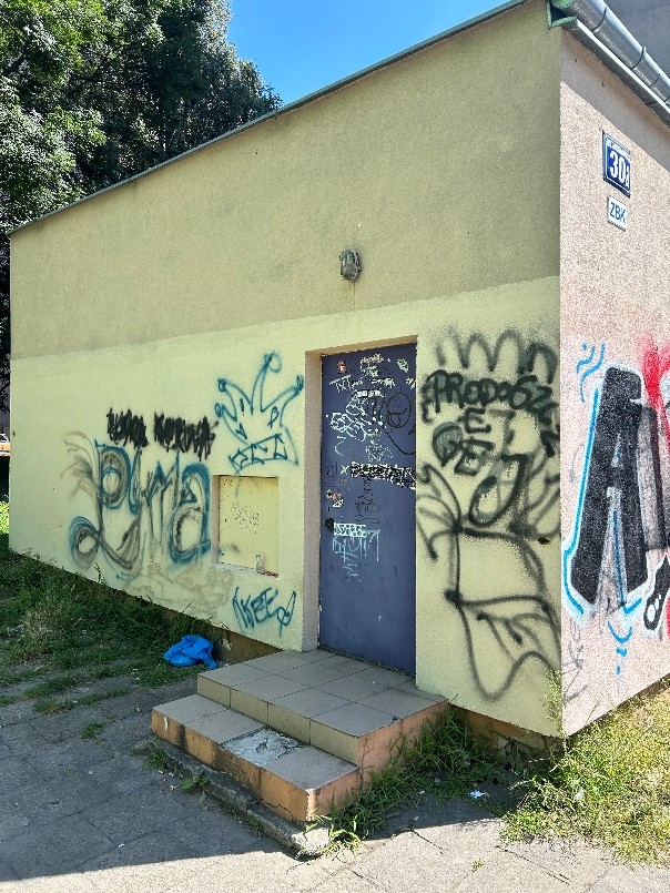 Zdjęcie przed zamalowaniem